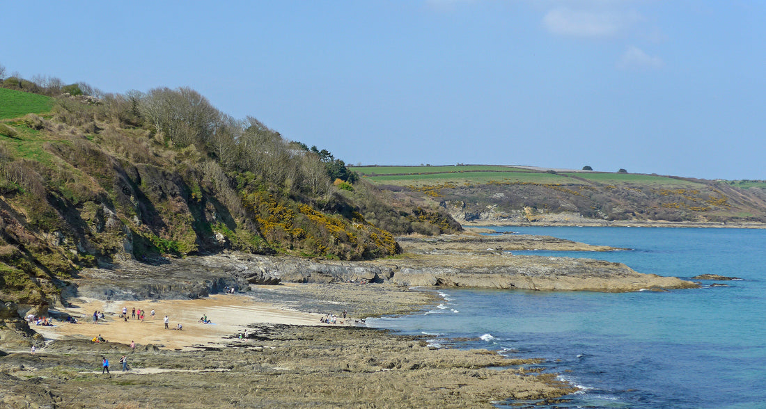 A Perfect Cornish Spring Walk
