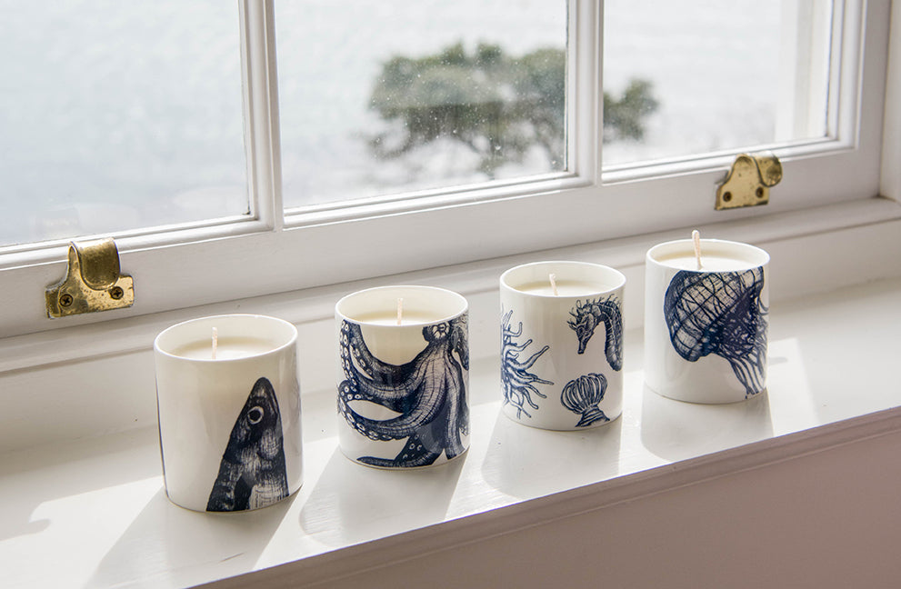 four cream cornwalls on a window sill