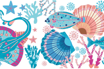 Catch Of the day artwork 