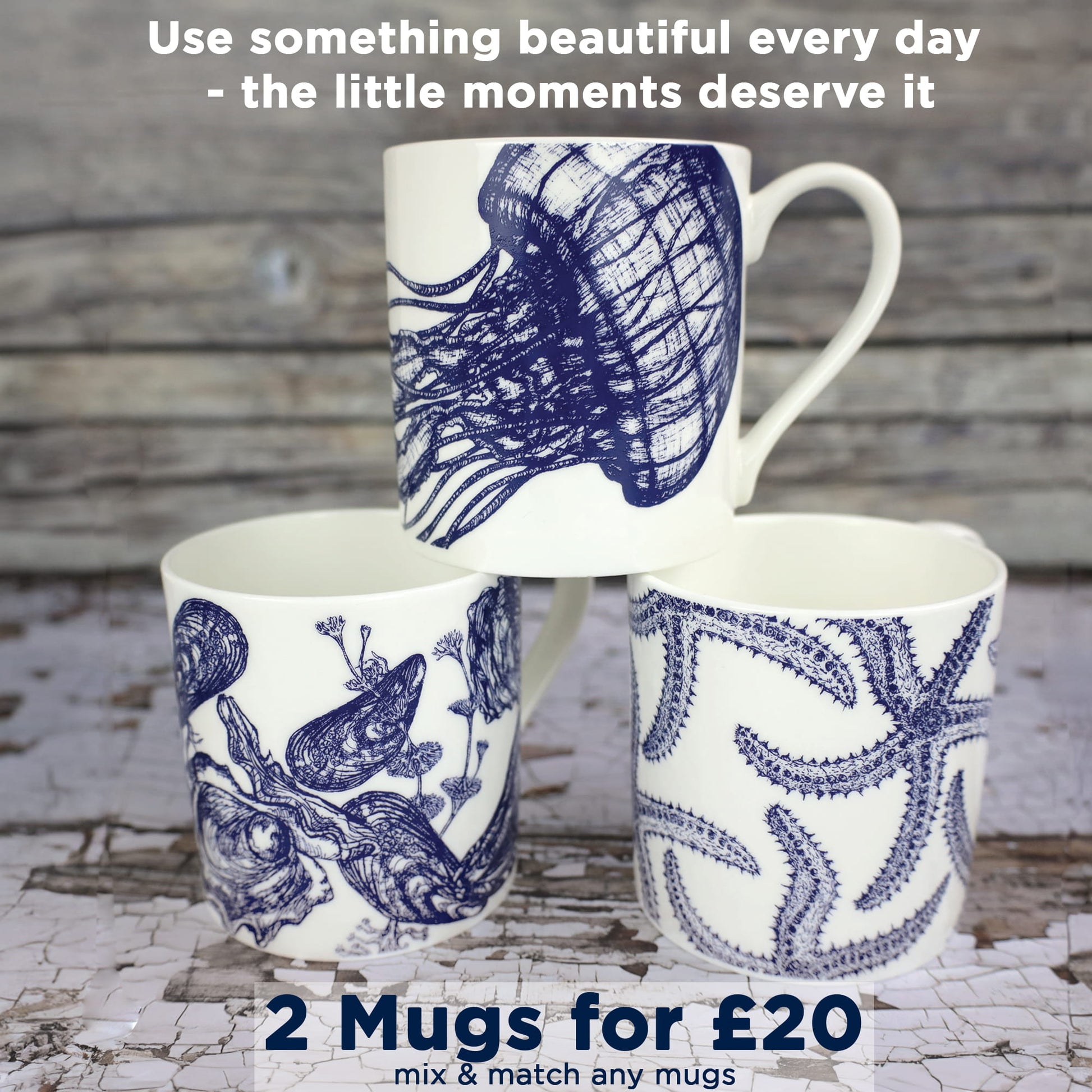 Cream Cornwall sea life mugs with jellyfish, shell and starfish illustrations stacked on a rustic wooden surface, promoting the 2 mugs for £20 mix and match offer.