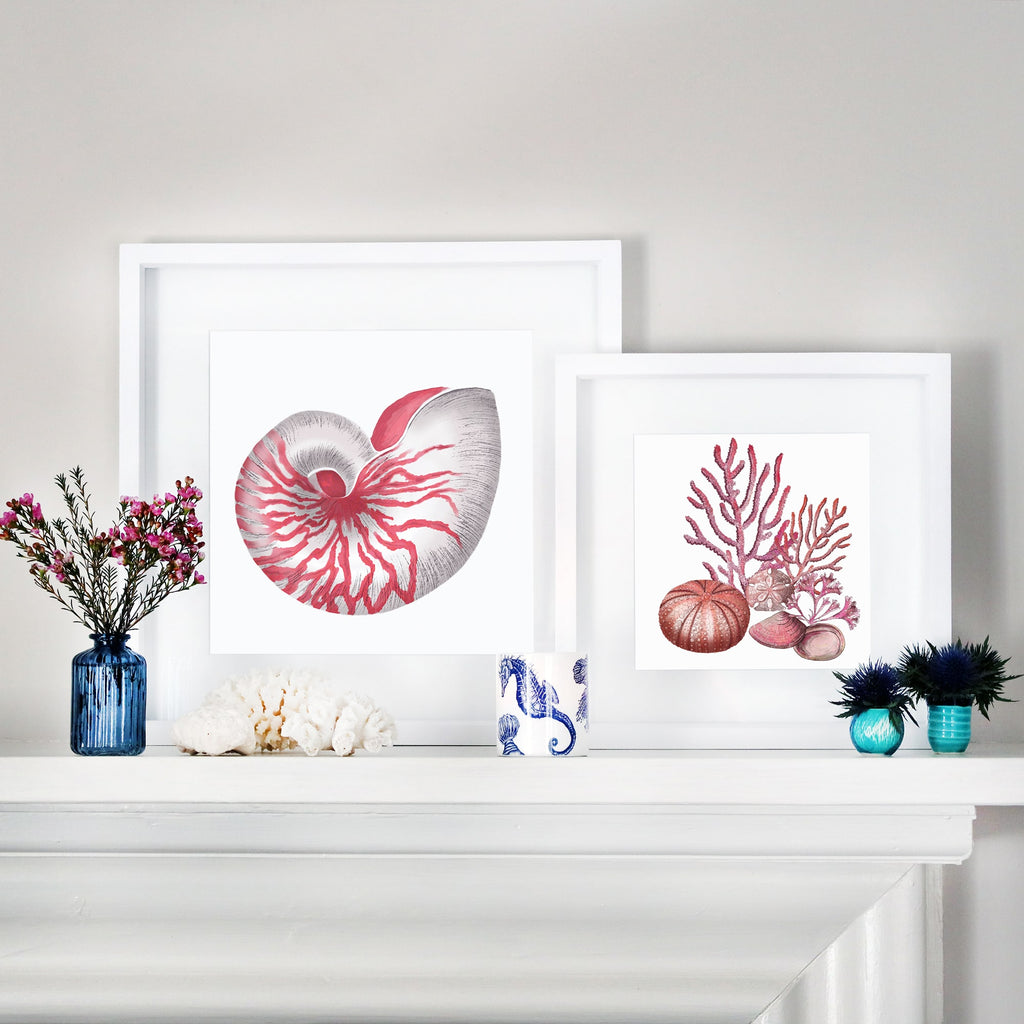 A coastal-inspired mantel display featuring two framed marine-themed artworks. One artwork showcases a detailed nautilus shell, while the other features red coral, a sea urchin, a sand dollar, and seashells. The arrangement is complemented by decorative accents, including blue glass vases with flowers, white coral pieces, a seahorse-patterned ceramic cup, and small blue and white vases with greenery. The setup blends oceanic elements with a serene and elegant aesthetic.