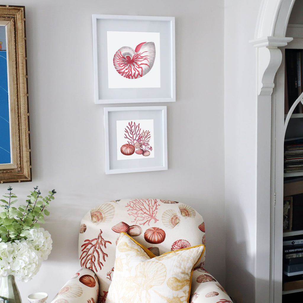 A cozy reading nook featuring a seashell-patterned armchair in warm coral and cream tones, paired with a yellow-trimmed cushion. Above, two framed coastal-themed artworks are arranged on the wall—one depicting a detailed nautilus shell and the other featuring red coral, a sea urchin, a sand dollar, and seashells. A side table with a vase of white hydrangeas and greenery adds a fresh touch to the serene, ocean-inspired space.