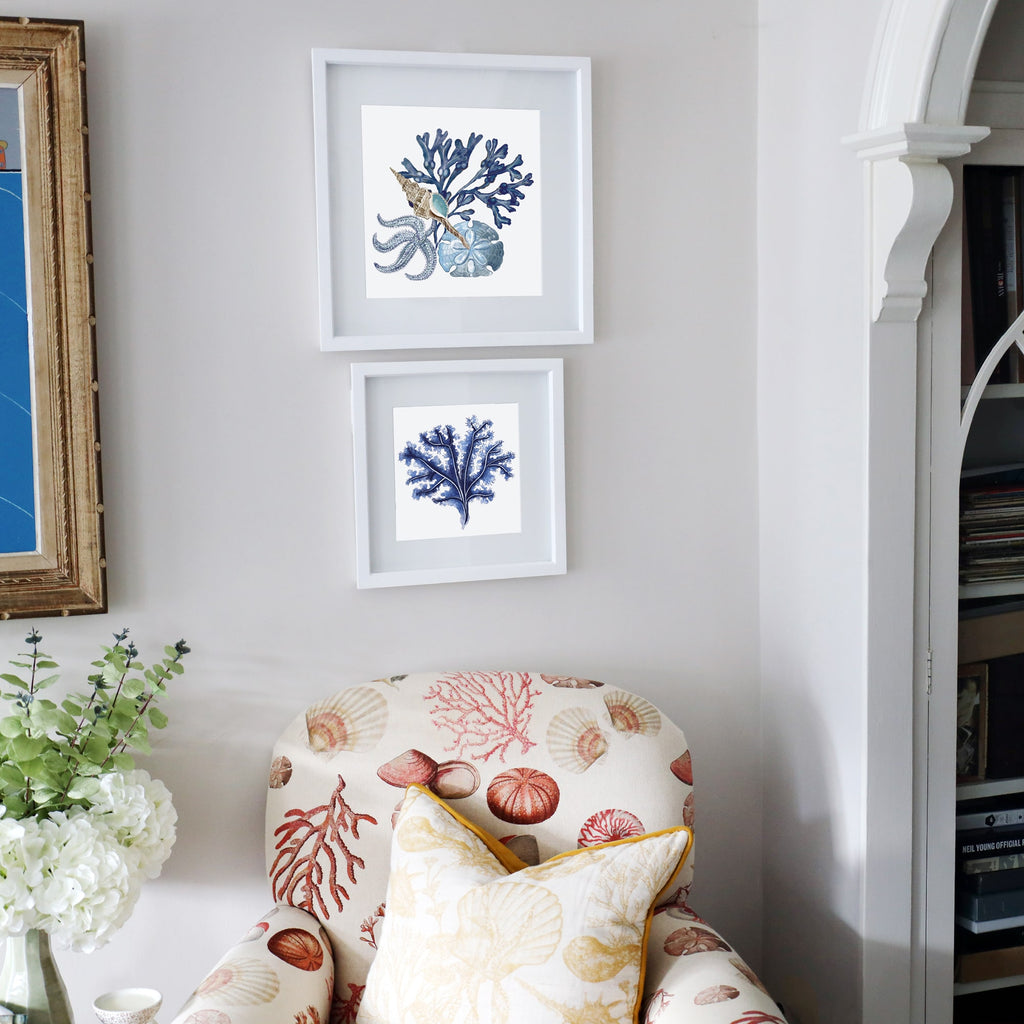 A coastal-themed corner with a seashell-patterned armchair and two framed marine artworks above. The top frame features a blue coral and shell composition, while the bottom showcases a dark blue seaweed illustration. White frames contrast against the neutral wall for a serene, ocean-inspired look.