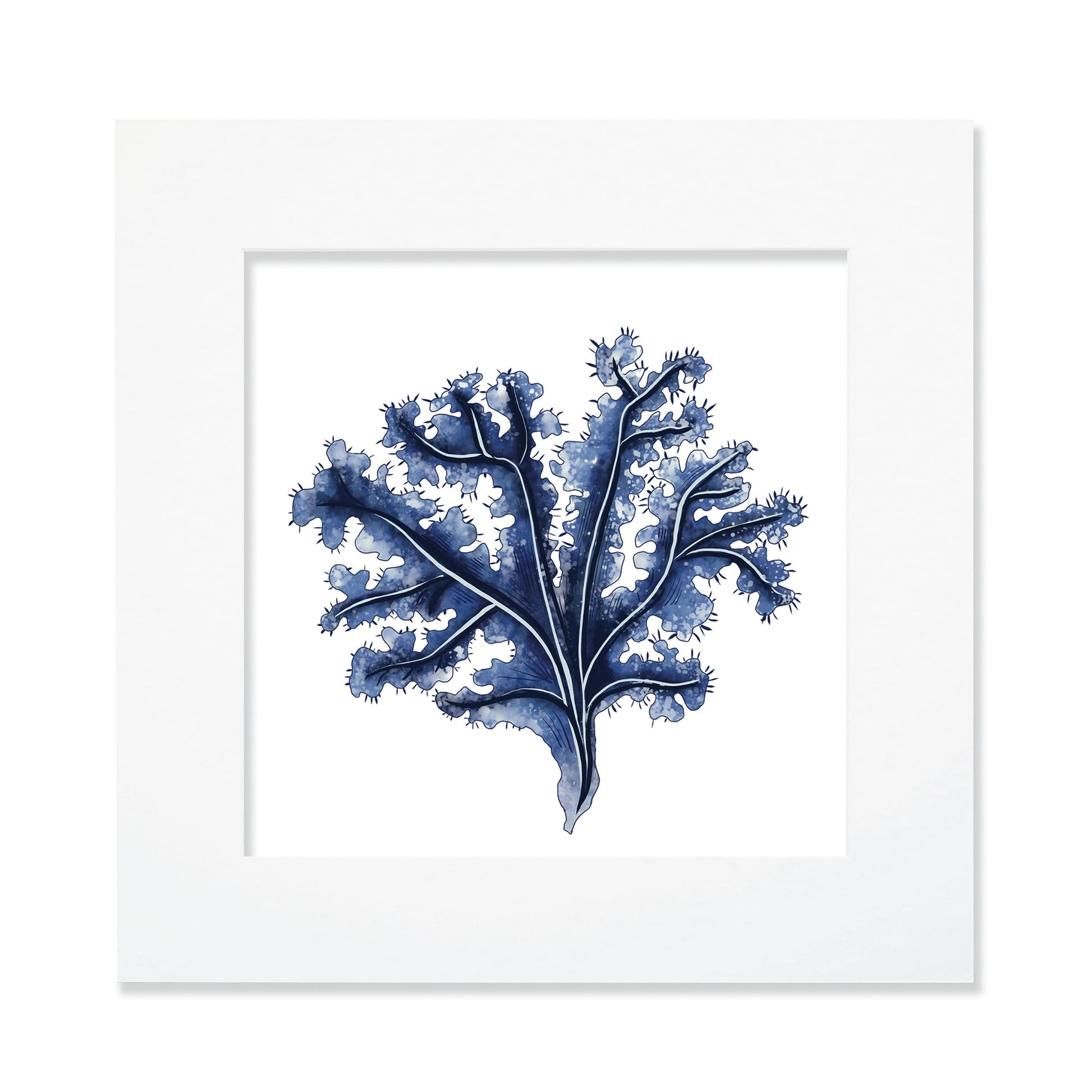 A framed illustration of deep blue seaweed with intricate branching details, set against a white background and enclosed in a white mount. The artwork has a delicate, watercolor-like texture, evoking a coastal and marine-inspired aesthetic.