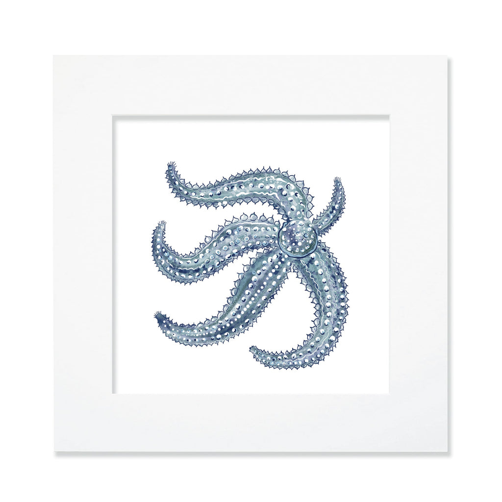 A 30cm square mounted coastal-themed artwork featuring a detailed illustration of a blue starfish with intricate textures and shading. The artwork is set in a white frame with a wide mount, highlighting the marine-inspired design in cool blue tones for a serene oceanic aesthetic.