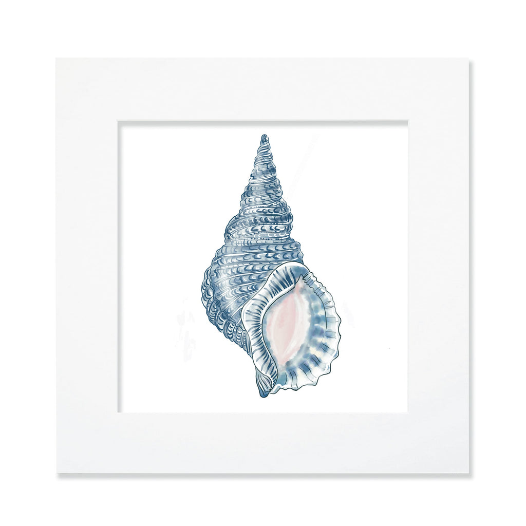 A 30cm mounted coastal-themed artwork featuring a detailed illustration of a blue whelk shell with intricate textures and soft pink accents. The artwork is set in a white frame with a wide mount, highlighting the marine-inspired design in cool blue tones for a serene oceanic aesthetic.