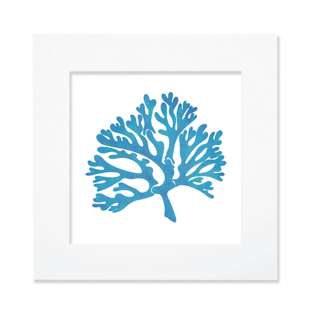 A 30cm square blue coral illustration in a square white mount and frame. The coral design is stylized with organic branching forms in a textured blue hue, set against a clean white background, creating a modern coastal-inspired artwork.
