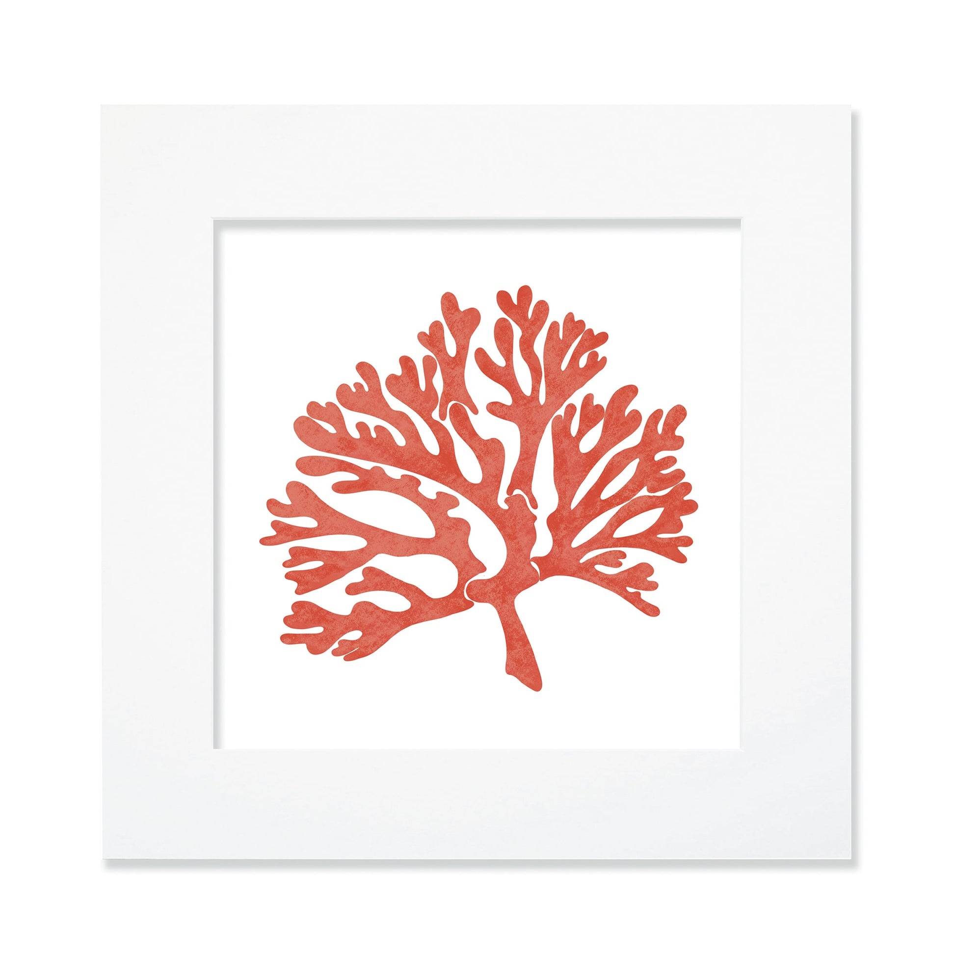A 30cm square mounted illustration of a vibrant orange coral silhouette, set against a white background and surrounded by a white mount and frame. The artwork features intricate branching details, creating a coastal and ocean-inspired aesthetic.