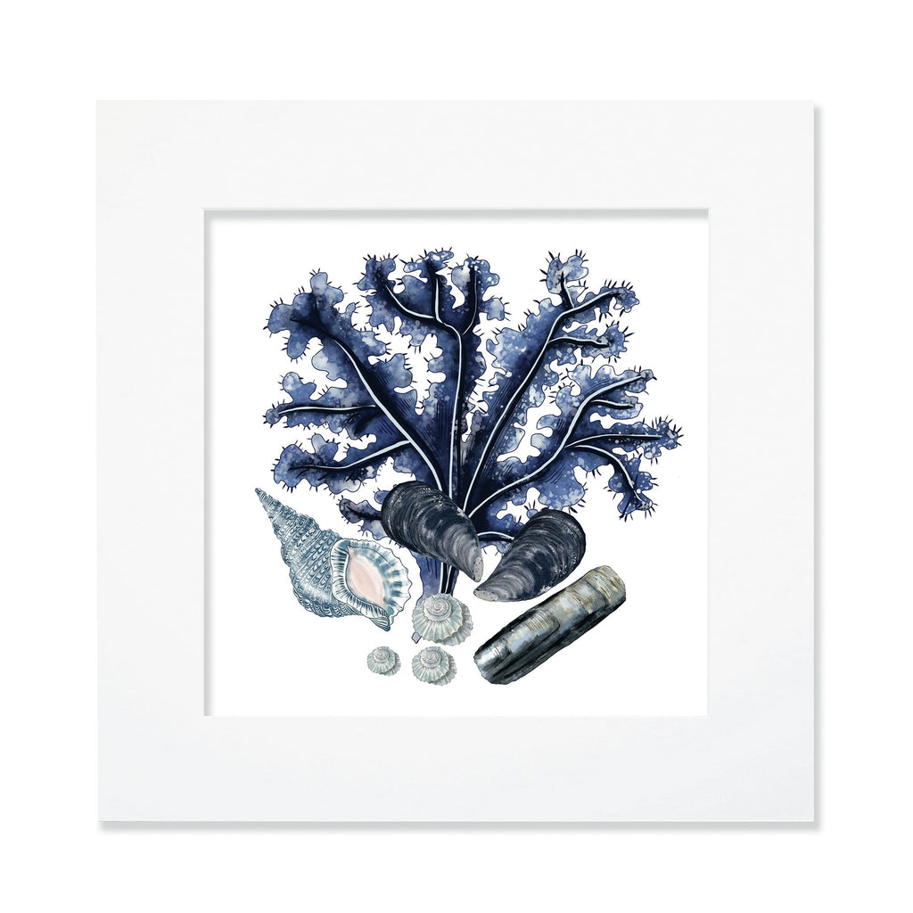 30cm square mounted coastal print featuring deep blue coral, mussels, seashells, and pebbles in a white mount, evoking a serene ocean-inspired aesthetic.