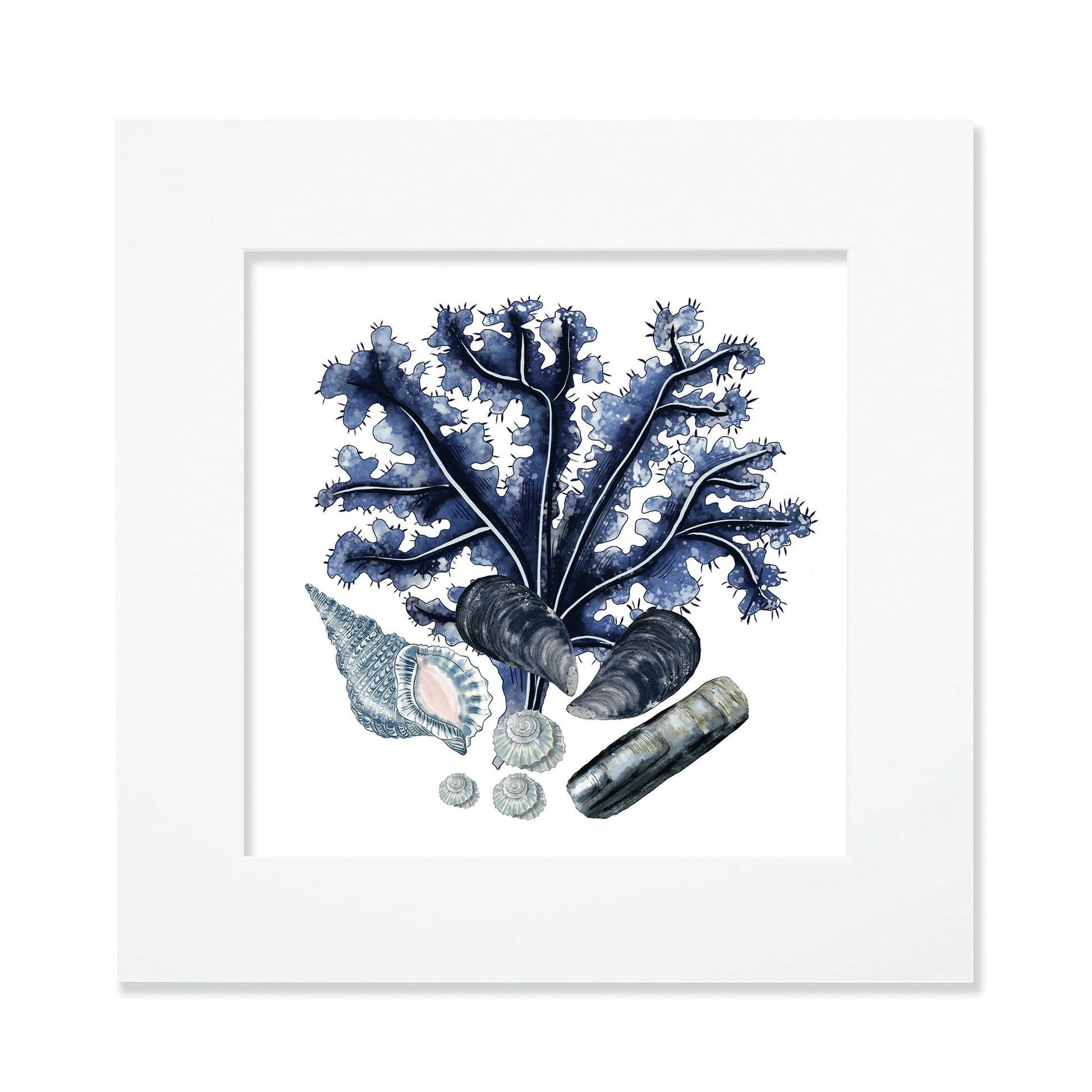 30cm square mounted coastal print featuring deep blue coral, mussels, seashells, and pebbles in a white mount, evoking a serene ocean-inspired aesthetic.