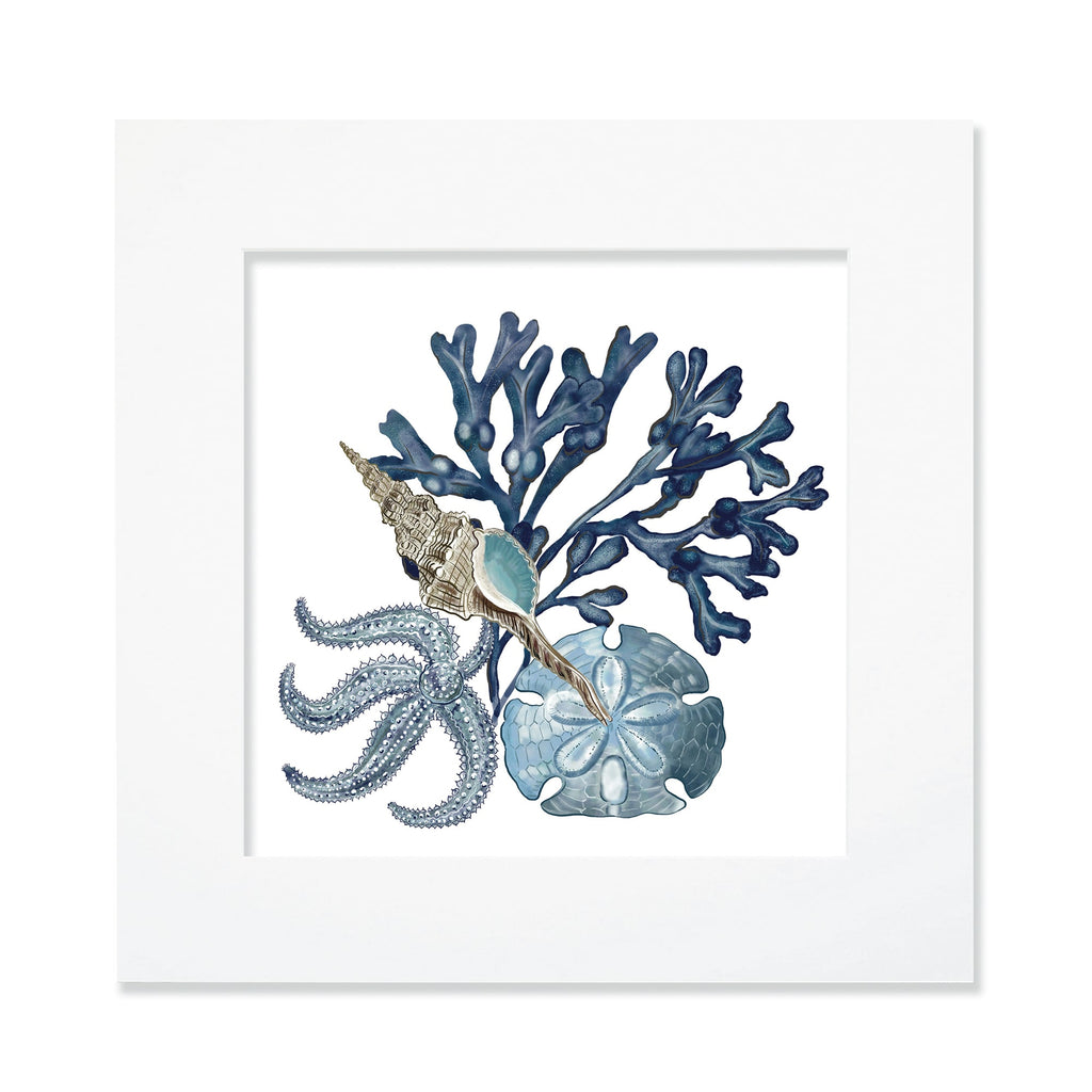30cm square mounted coastal-themed artwork featuring an intricate illustration of blue seaweed, a starfish, a sand dollar, and a seashell. The artwork is set in a white frame with a wide mount, creating a clean and modern presentation. The design showcases detailed marine elements in soft blue and neutral tones.