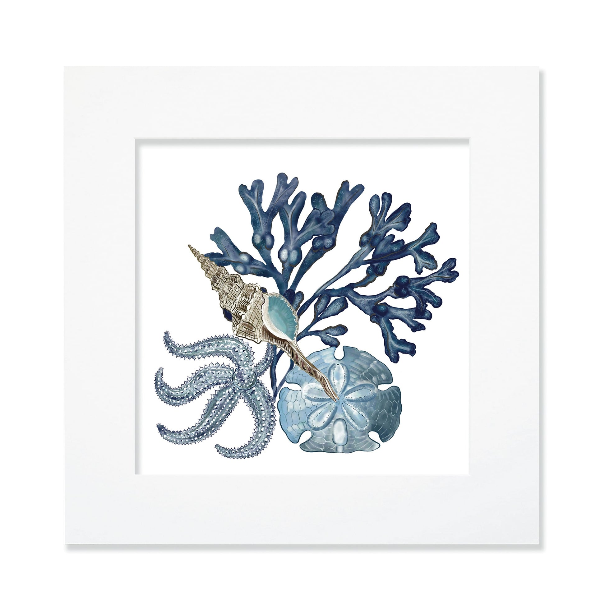 30cm square mounted coastal-themed artwork featuring an intricate illustration of blue seaweed, a starfish, a sand dollar, and a seashell. The artwork is set in a white frame with a wide mount, creating a clean and modern presentation. The design showcases detailed marine elements in soft blue and neutral tones.