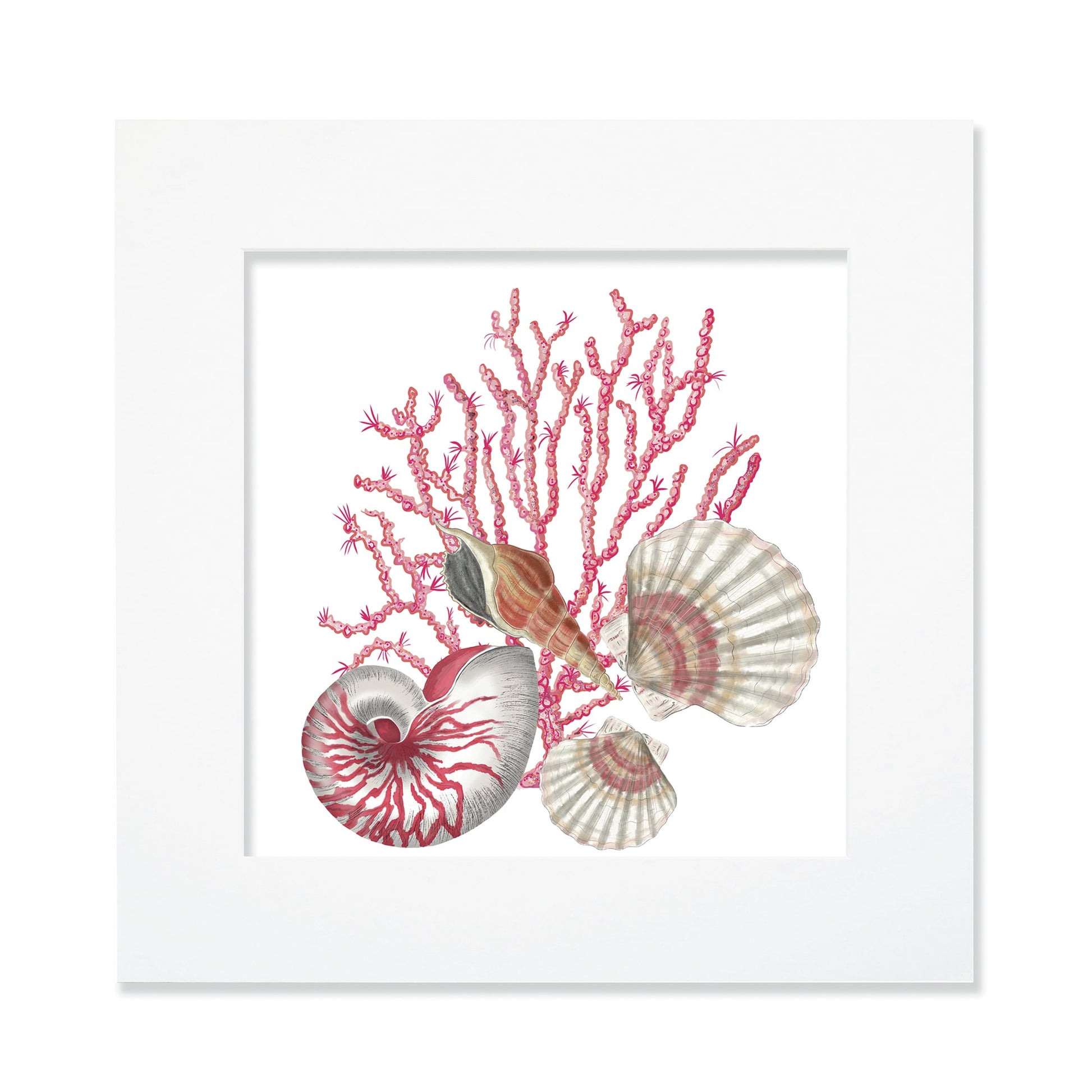 30cm square mounted coastal-themed artwork featuring an intricate illustration of pink coral, a nautilus shell, scallop shells, and a spiral seashell. The artwork is set in a white frame with a wide mount, showcasing detailed marine elements in soft pink, beige, and neutral tones for a serene ocean-inspired aesthetic.