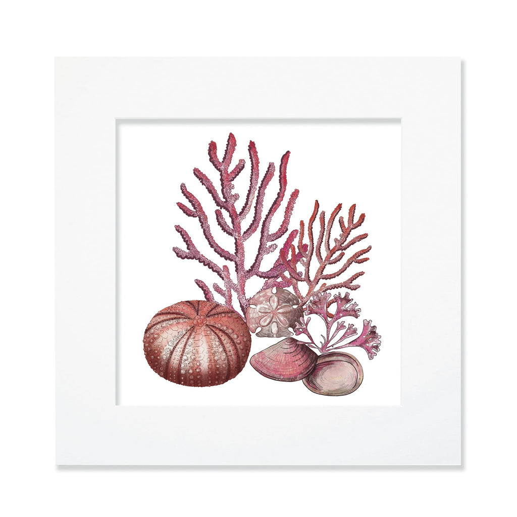 30cm square mounted coastal-themed artwork featuring an intricate illustration of red coral, a sea urchin, a sand dollar, and various seashells. The artwork is set in a white frame with a wide mount, showcasing detailed marine elements in warm red, pink, and neutral tones for a serene ocean-inspired aesthetic.