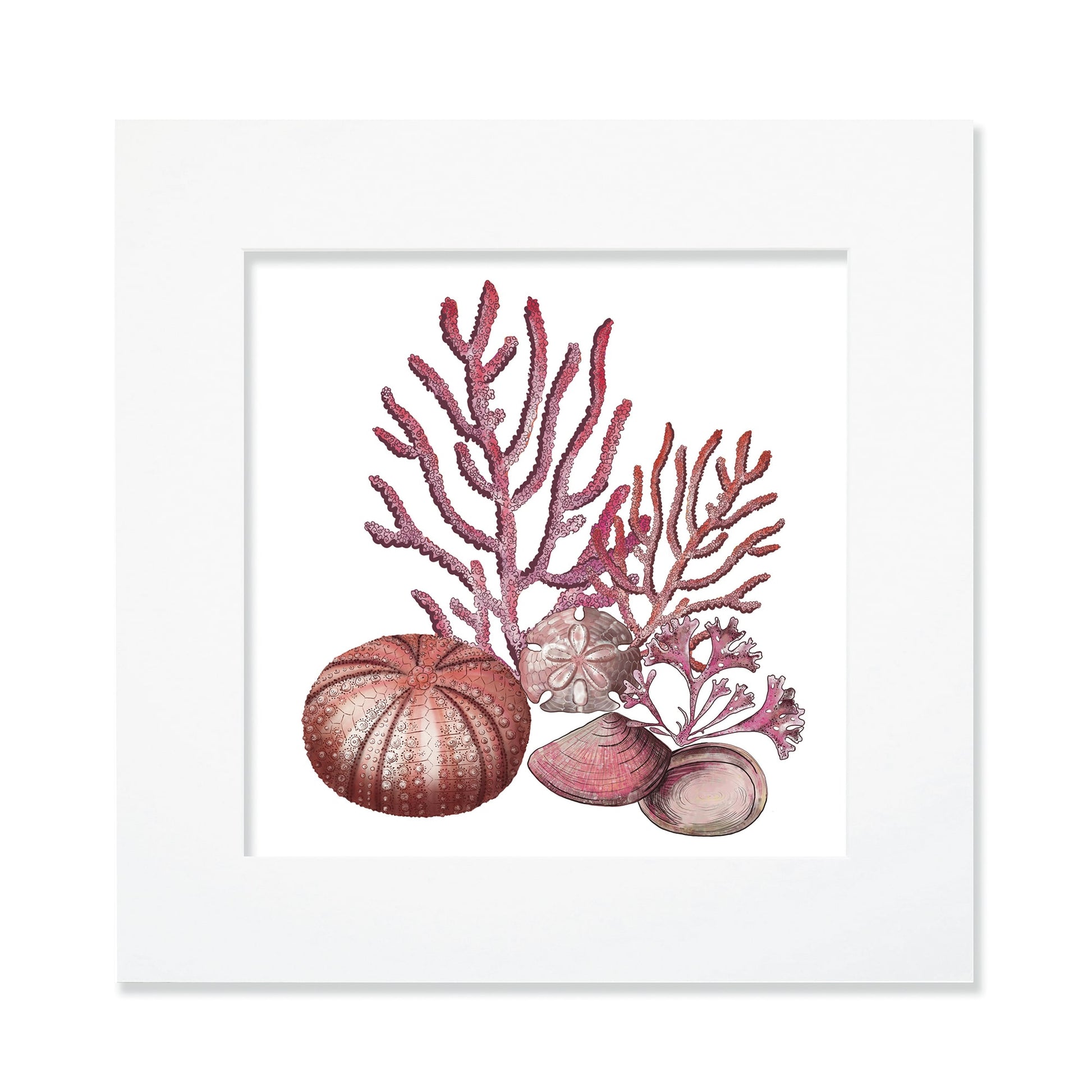 30cm square mounted coastal-themed artwork featuring an intricate illustration of red coral, a sea urchin, a sand dollar, and various seashells. The artwork is set in a white frame with a wide mount, showcasing detailed marine elements in warm red, pink, and neutral tones for a serene ocean-inspired aesthetic.