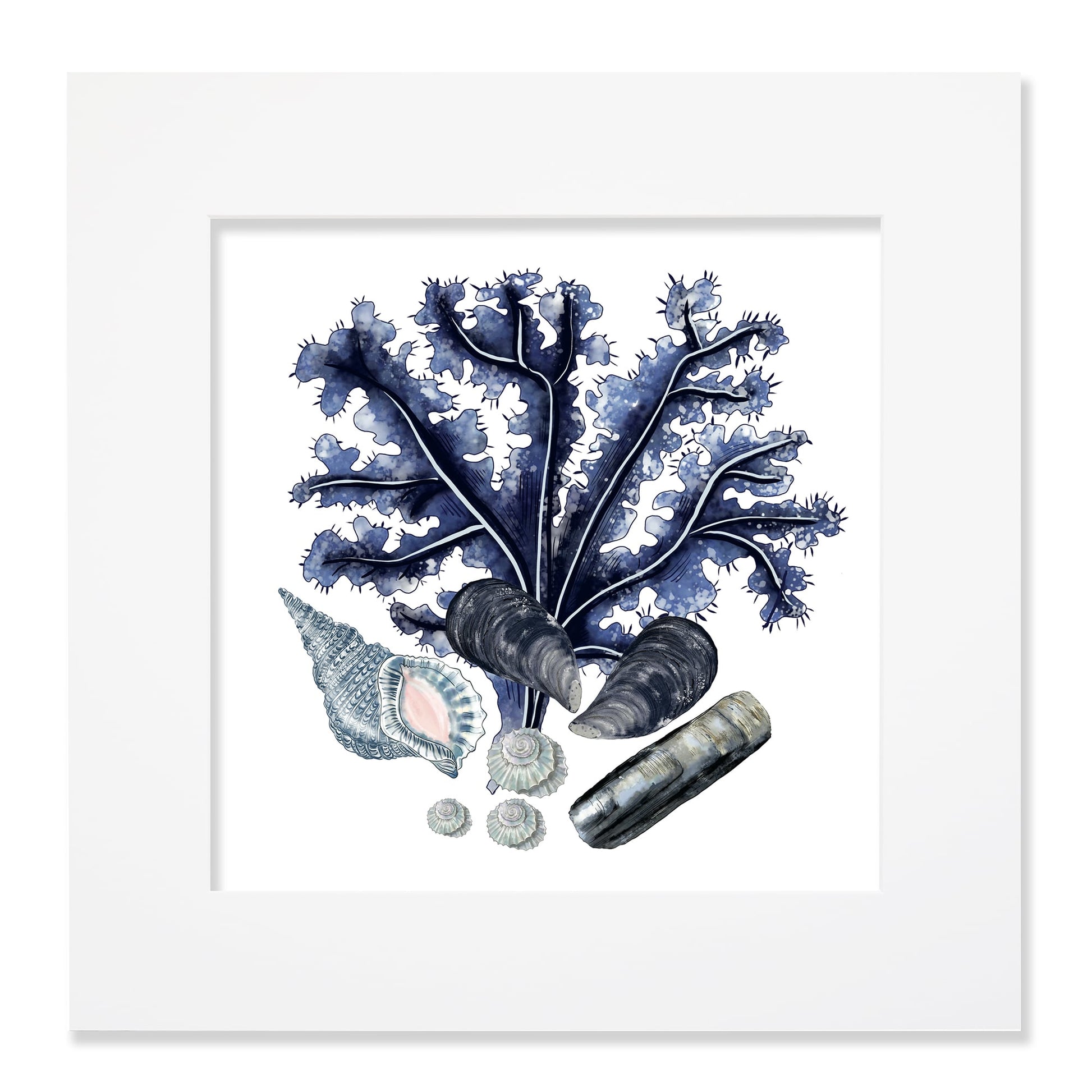 40cm square mounted coastal print featuring deep blue coral, mussels, seashells, and pebbles in a white mount, evoking a serene ocean-inspired aesthetic.