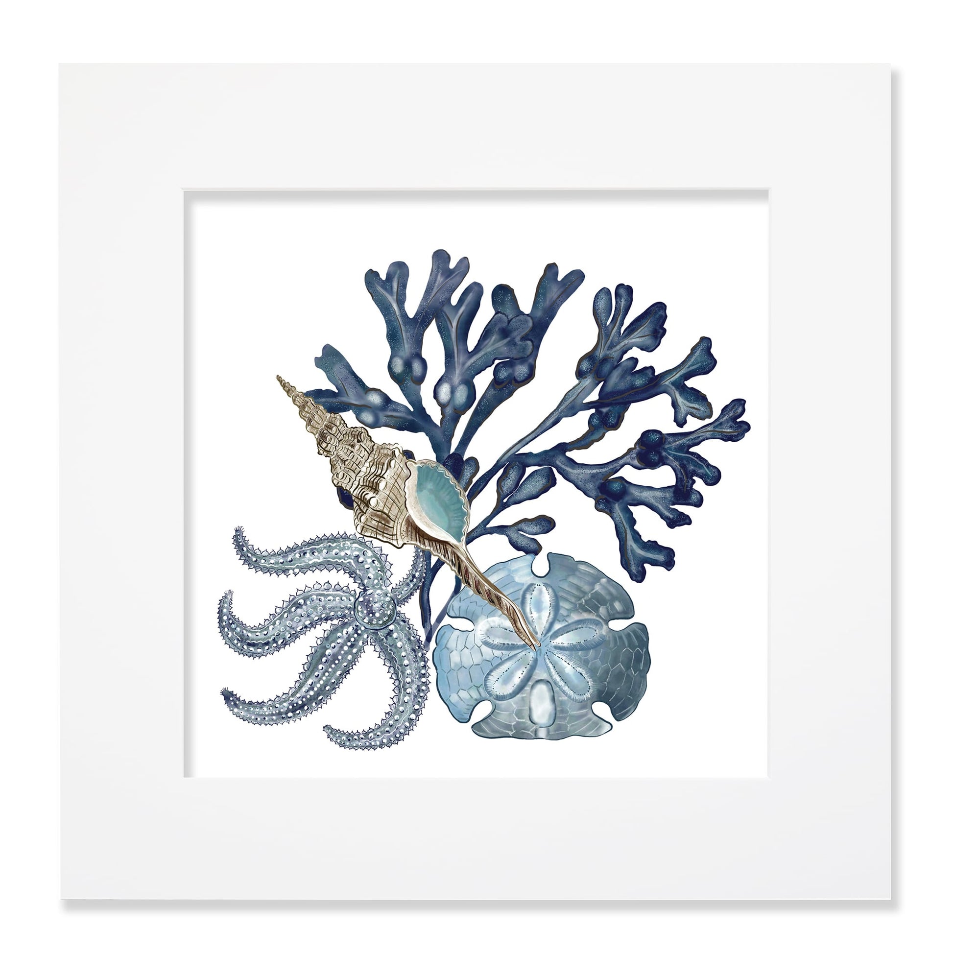 40cm square mounted coastal-themed artwork featuring an intricate illustration of blue seaweed, a starfish, a sand dollar, and a seashell. The artwork is set in a white frame with a wide mount, creating a clean and modern presentation. The design showcases detailed marine elements in soft blue and neutral tones.