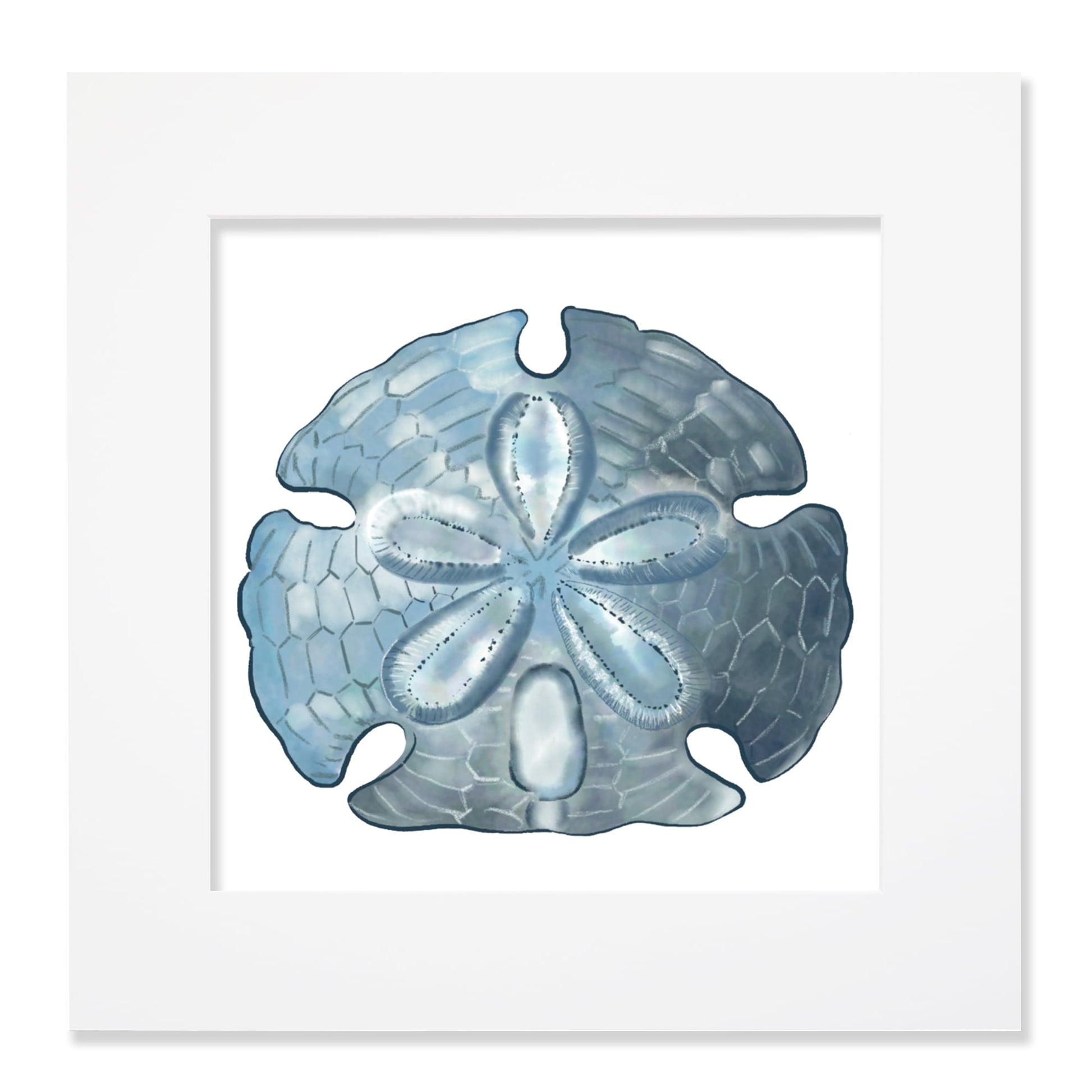 A 40cm mounted coastal-themed artwork featuring a detailed illustration of a blue sand dollar with intricate textures and shading. The artwork is set in a white frame with a wide mount, highlighting the marine-inspired design in cool blue tones for a serene oceanic aesthetic.