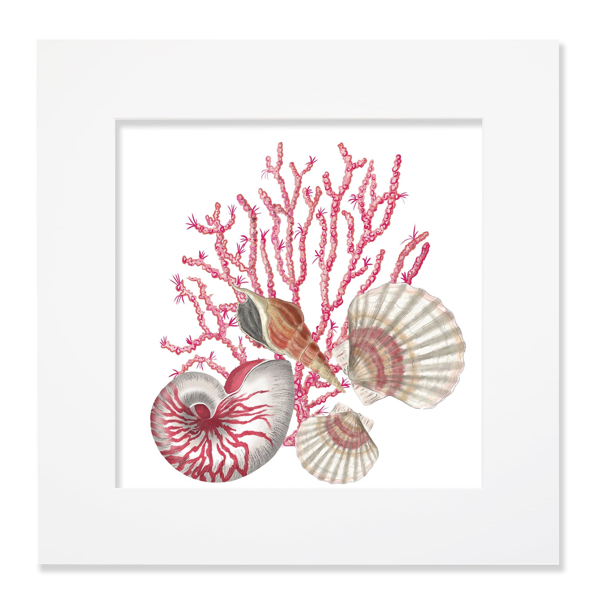 40cm square mounted coastal-themed artwork featuring an intricate illustration of pink coral, a nautilus shell, scallop shells, and a spiral seashell. The artwork is set in a white frame with a wide mount, showcasing detailed marine elements in soft pink, beige, and neutral tones for a serene ocean-inspired aesthetic.
