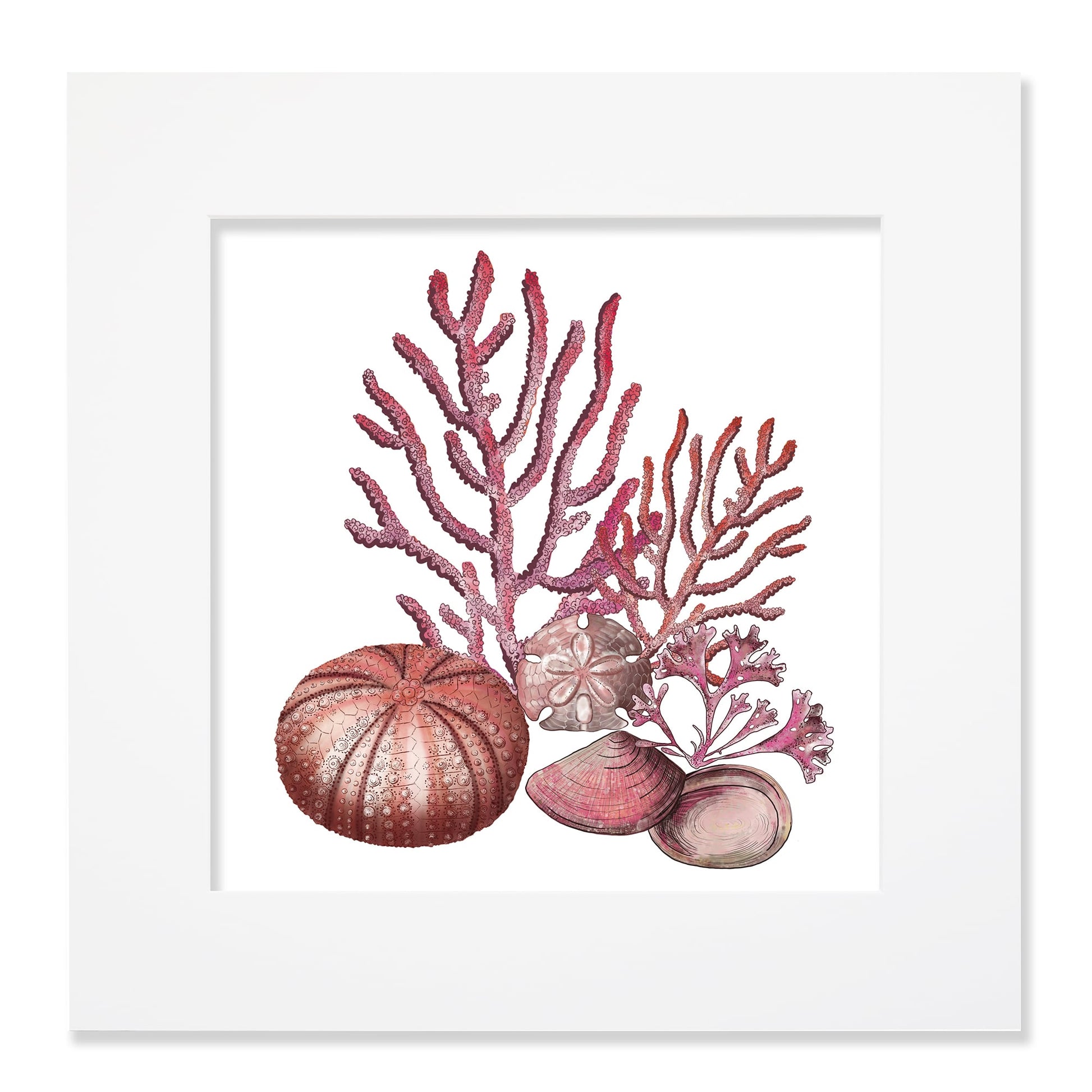 40cm square mounted coastal-themed artwork featuring an intricate illustration of red coral, a sea urchin, a sand dollar, and various seashells. The artwork is set in a white frame with a wide mount, showcasing detailed marine elements in warm red, pink, and neutral tones for a serene ocean-inspired aesthetic.