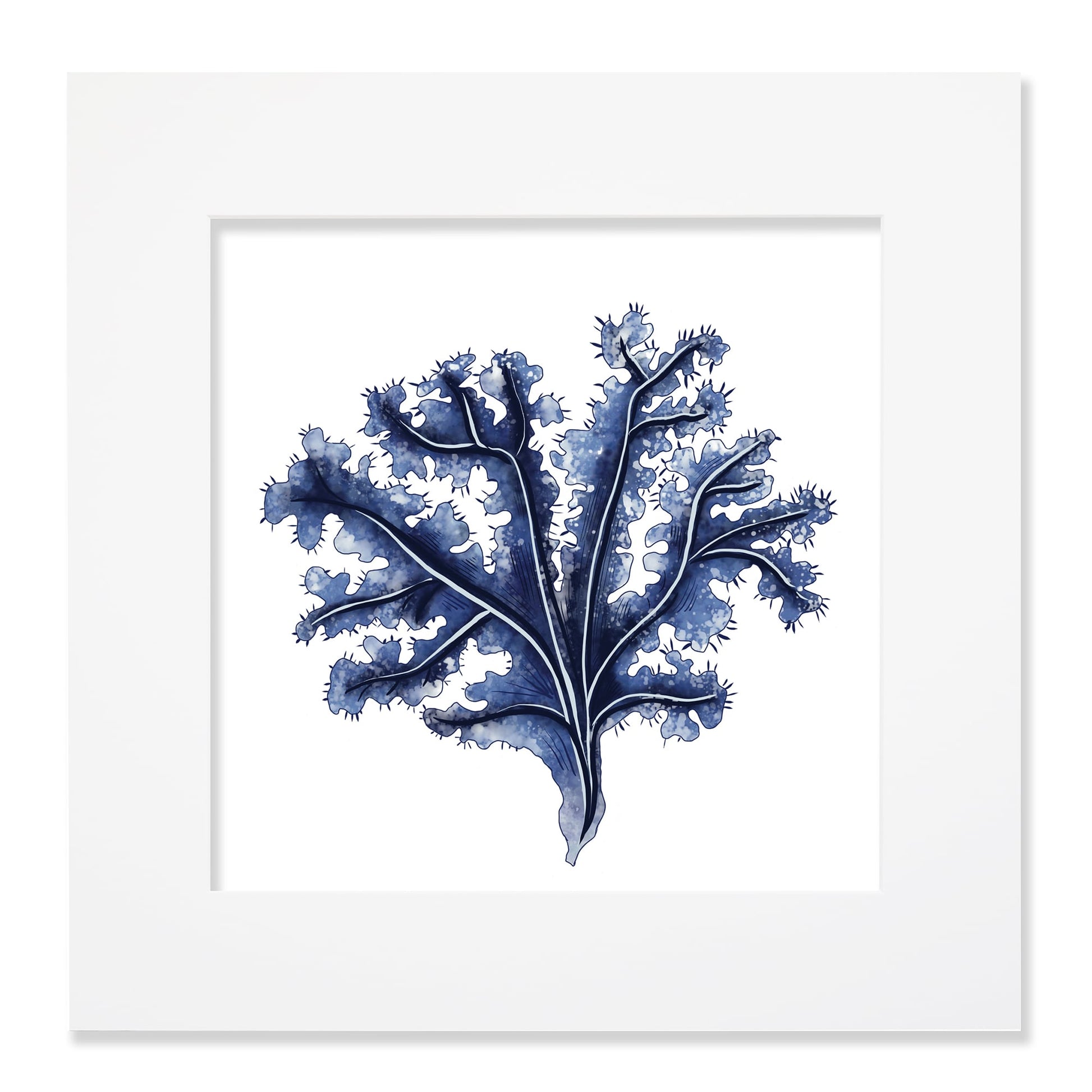 A 40cm square mounted illustration of deep blue seaweed with intricate branching details, set against a white background and enclosed in a white mount. The artwork has a delicate, watercolor-like texture, evoking a coastal and marine-inspired aesthetic.
