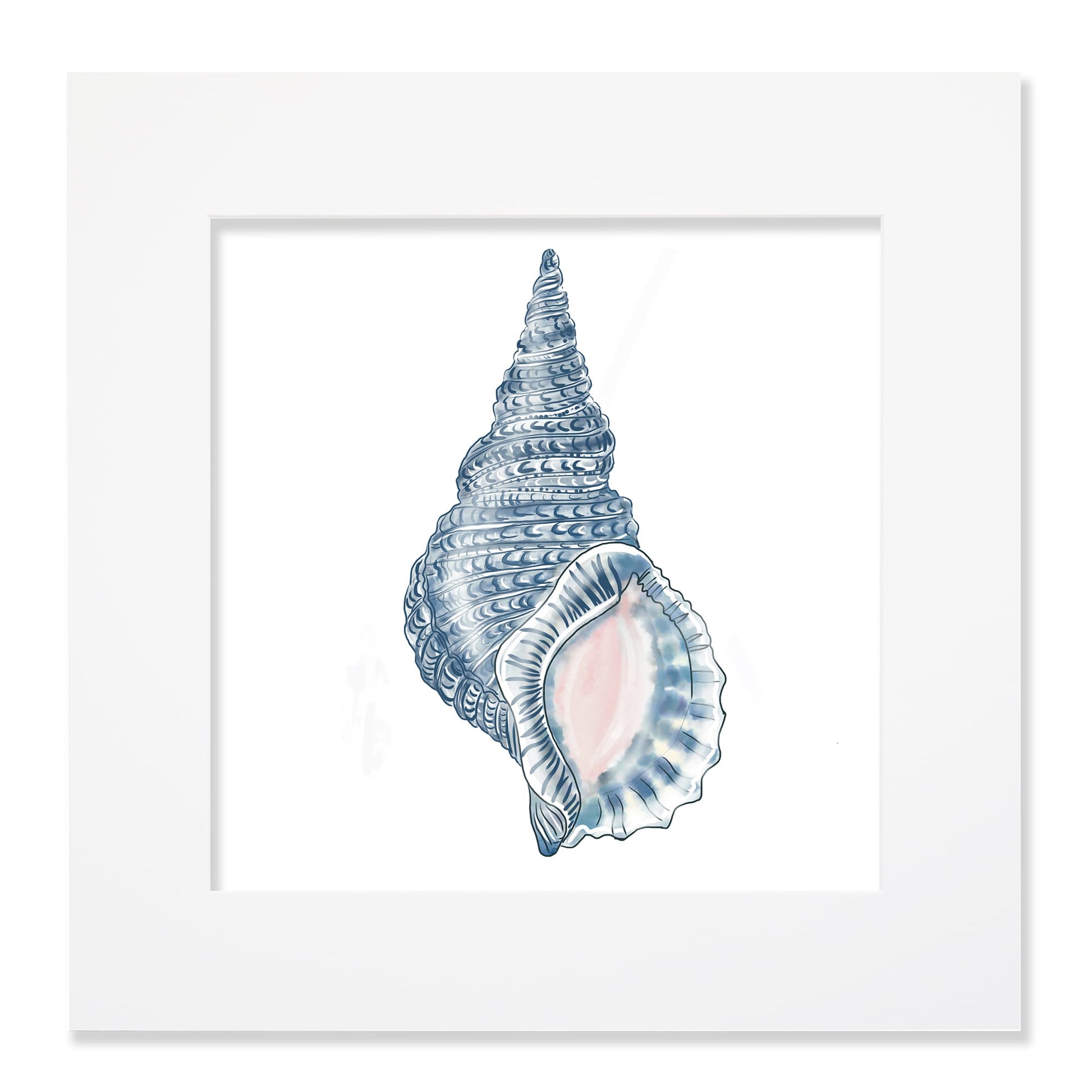 A 40cm mounted coastal-themed artwork featuring a detailed illustration of a blue whelk shell with intricate textures and soft pink accents. The artwork is set in a white frame with a wide mount, highlighting the marine-inspired design in cool blue tones for a serene oceanic aesthetic.