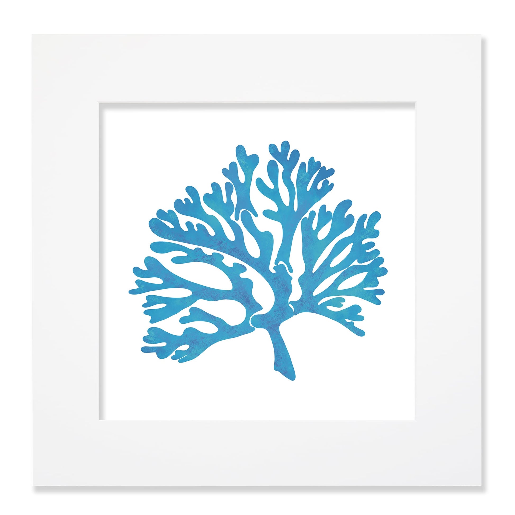 A 40cm square blue coral illustration in a square white mount and frame. The coral design is stylized with organic branching forms in a textured blue hue, set against a clean white background, creating a modern coastal-inspired artwork.