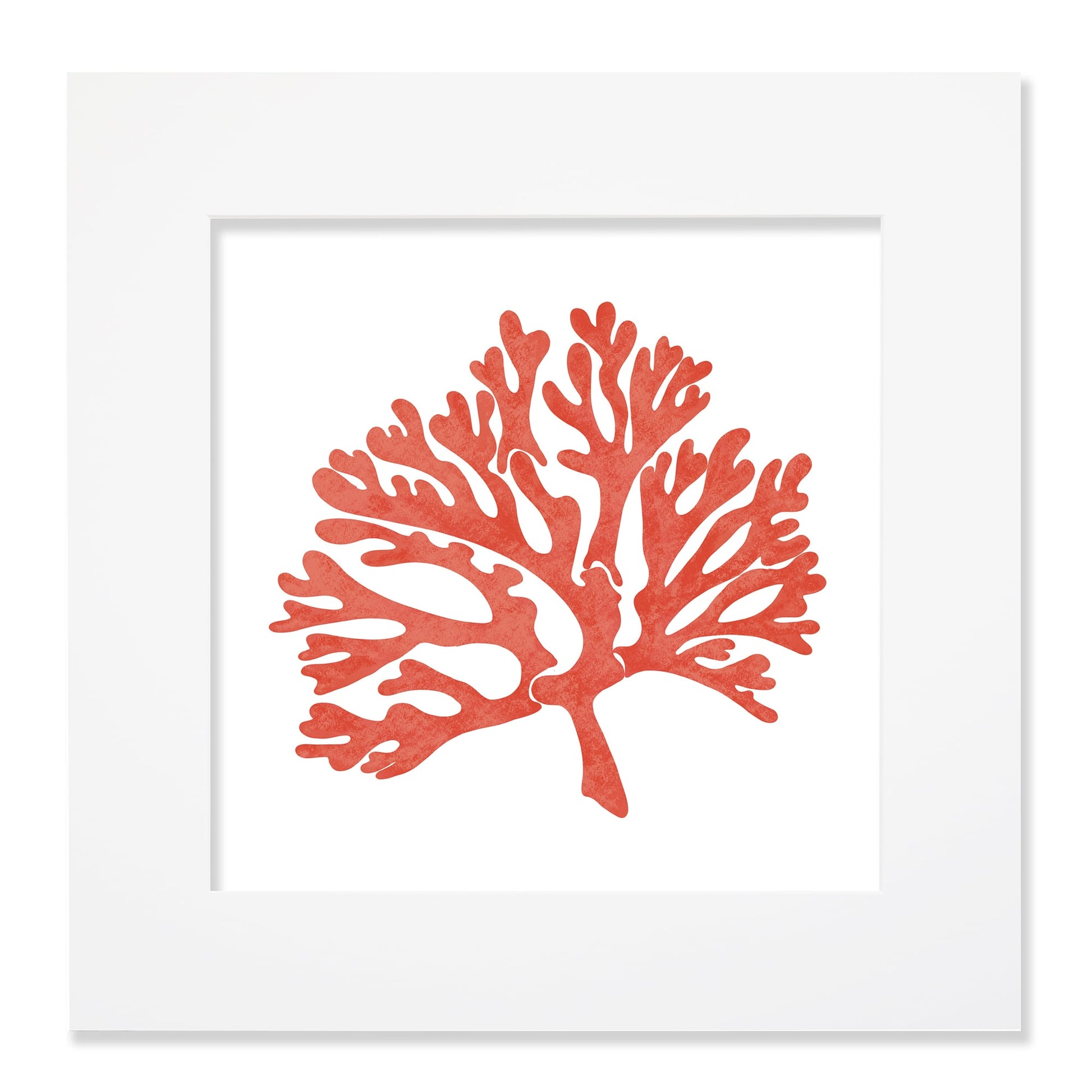 A 40cm square mounted illustration of a vibrant orange coral silhouette, set against a white background and surrounded by a white mount and frame. The artwork features intricate branching details, creating a coastal and ocean-inspired aesthetic.