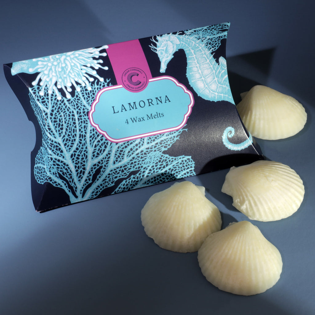 Pack of Lamorna wax melts with shell-shaped melts on a dark background