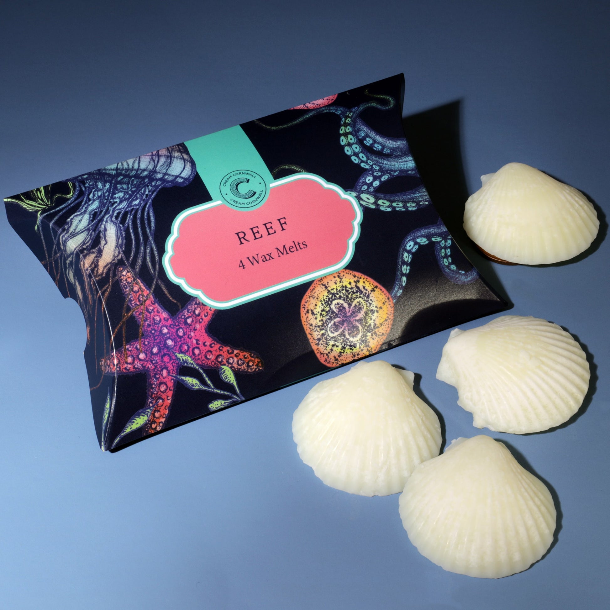 Box of Reef wax melts with shell-shaped containers on a blue background