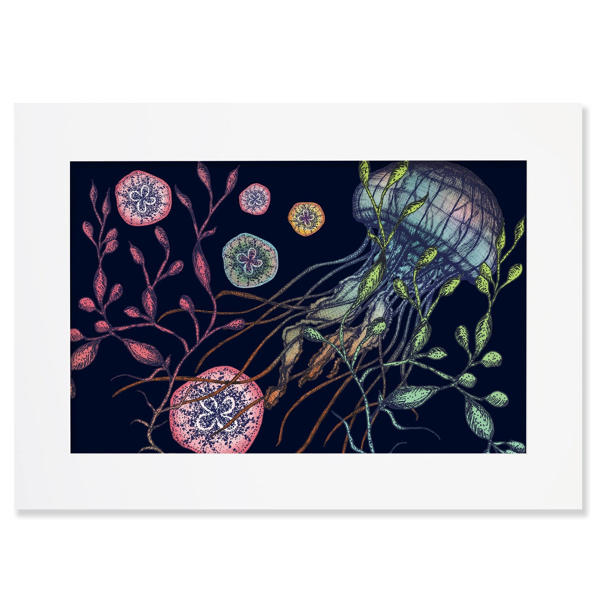 An A2 mounted illustration of a jellyfish with seaweed and marine elements on a dark navy background, set in a white mount. The artwork features intricate detailing in shades of blue, green, red, and yellow.