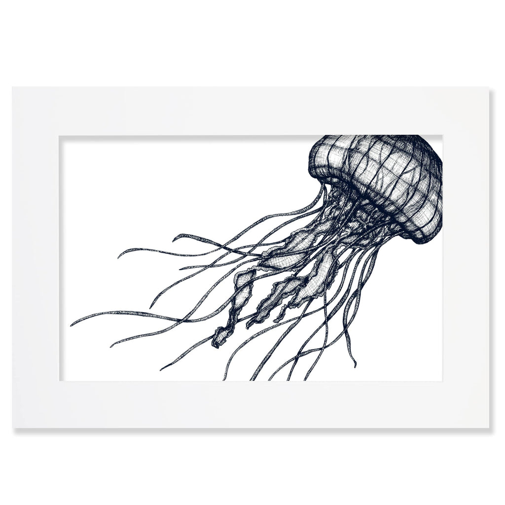 An A2 mounted blue-and-white illustration of a jellyfish with delicate, flowing tentacles, drawn with fine lines and shading, set against a white background in a white mount and frame.