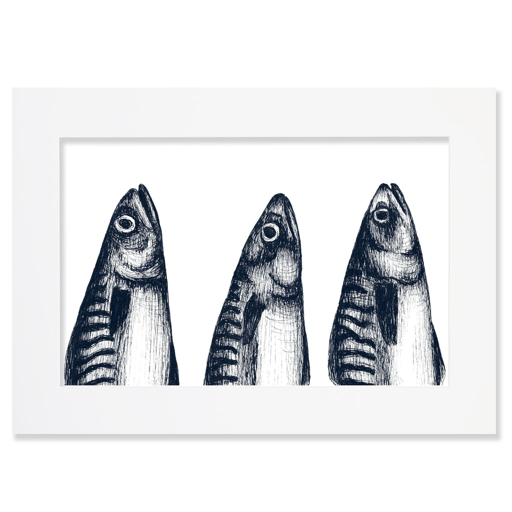 An A2 mounted blue-and-white illustration of 3 mackerel heads with delicate, drawn with fine lines and shading, set against a white background in a white mount and frame.