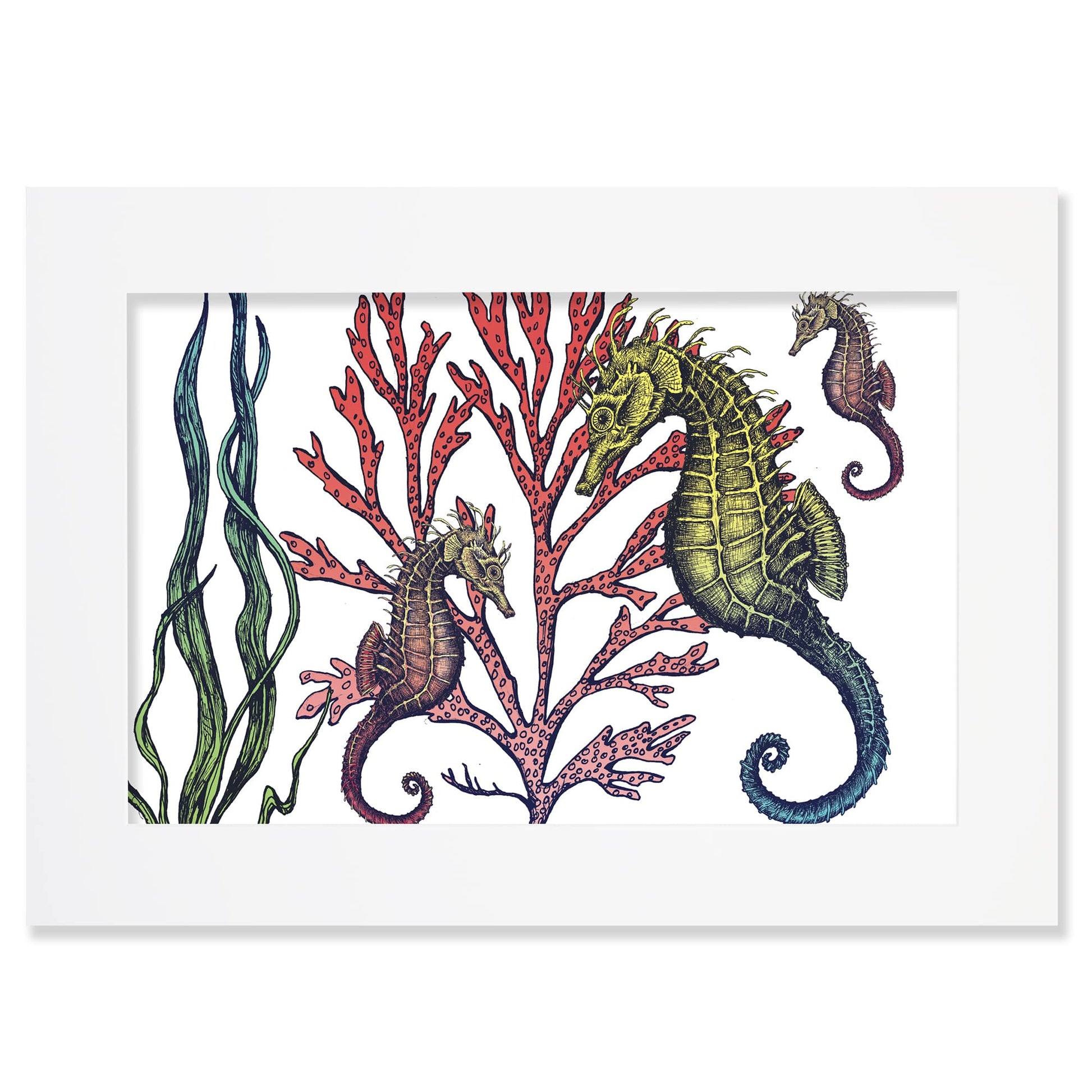 An A2 mounted illustration of three intricately detailed seahorses swimming among red coral and green seaweed, set against a white background in a white frame.