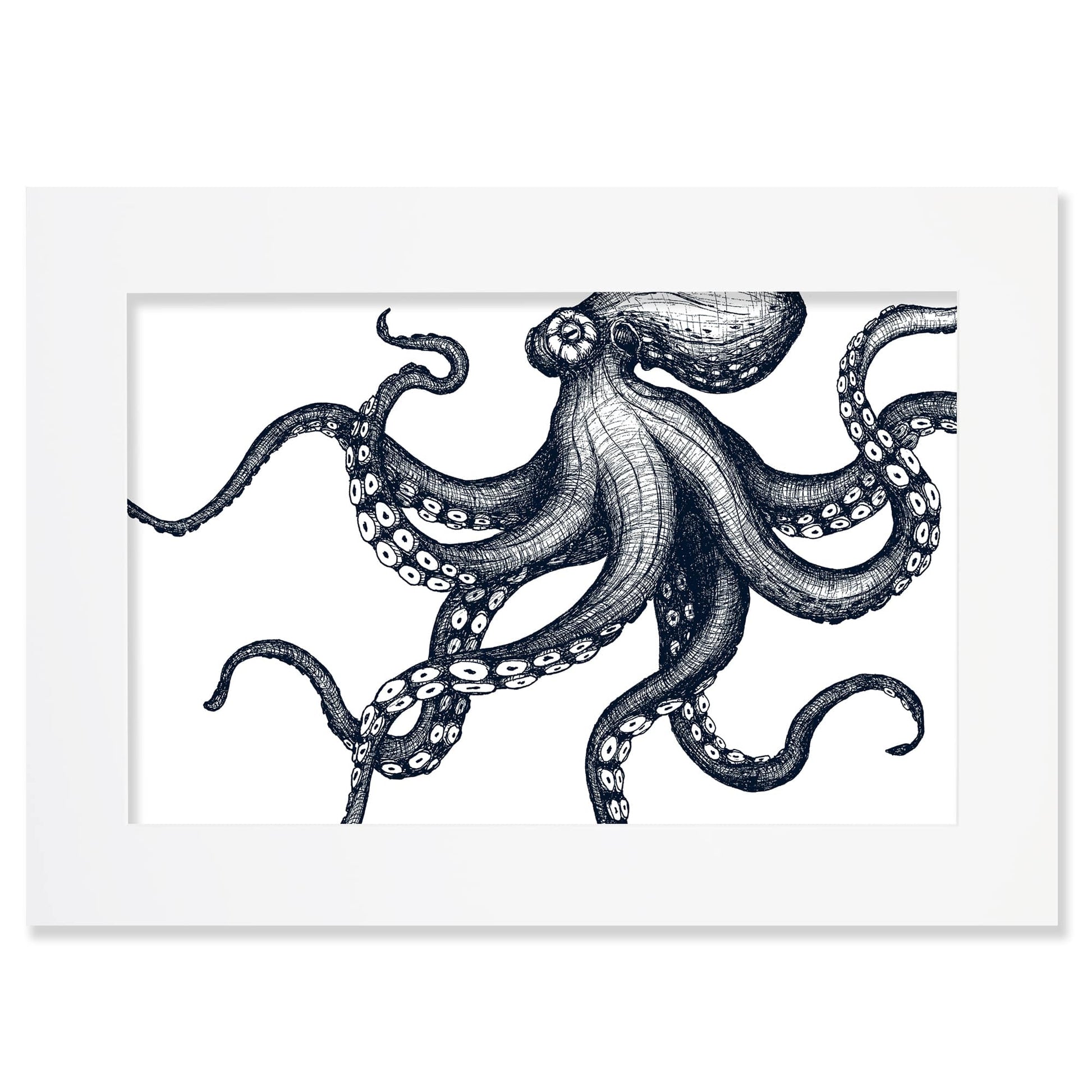 An A2 mounted blue-and-white illustration of an octopus, intricately detailed with fine lines and shading, set against a white background in a white mount.