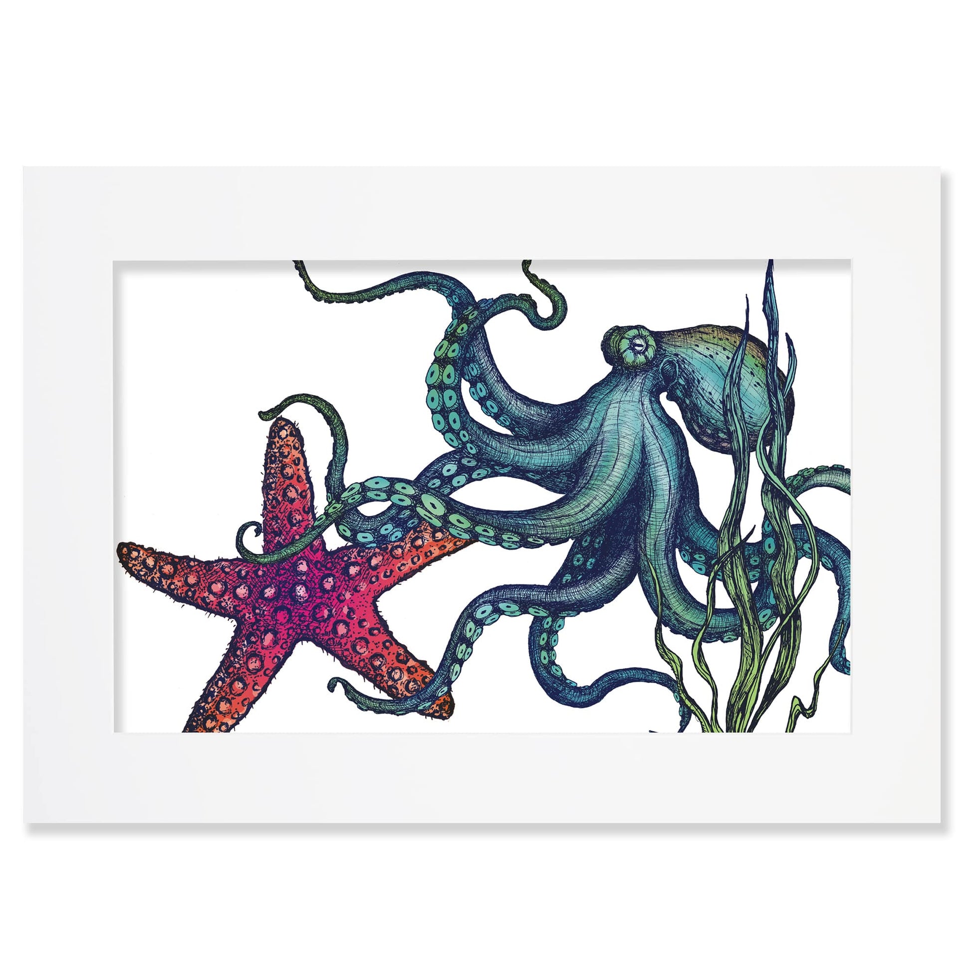 An A2 mounted illustration of a colorful octopus intertwined with a red starfish and seaweed, set in a white frame with a white mount. The detailed artwork showcases intricate marine life with rich textures and vibrant colors.