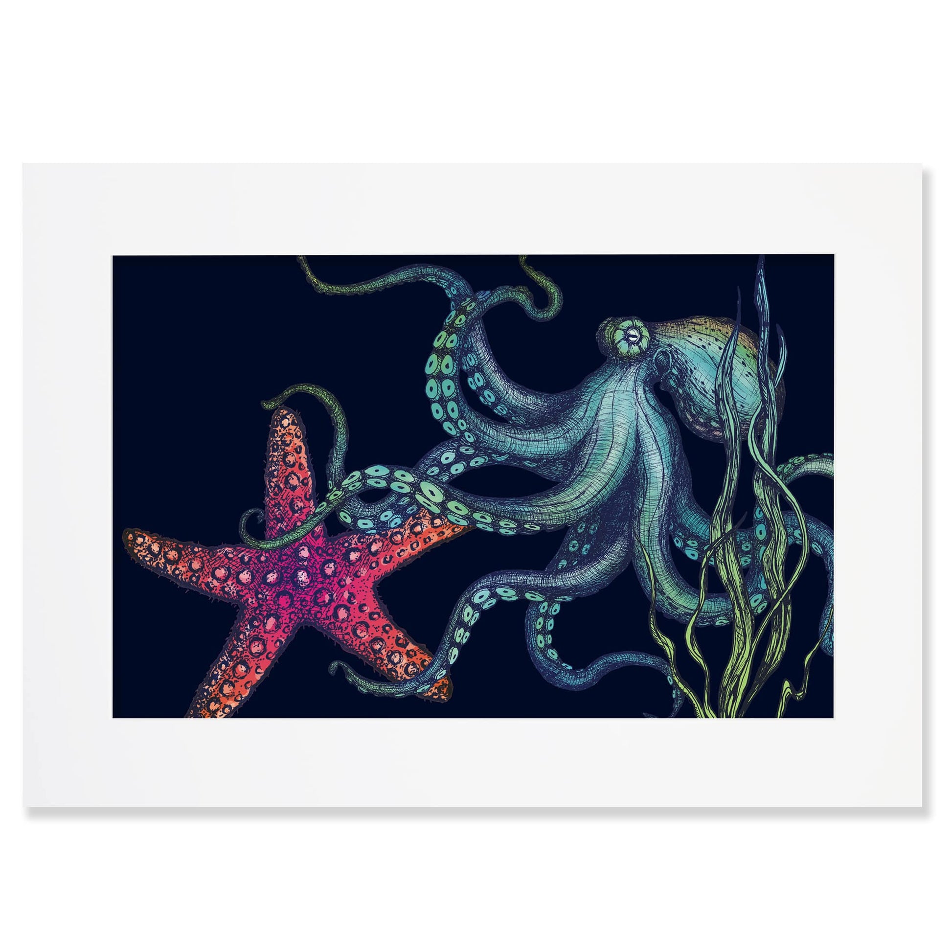 An A2 mounted illustration features a detailed octopus and a vibrant red starfish set against a dark navy background. The octopus has flowing tentacles with intricate blue and green shading, while seaweed sways around them. The print is enclosed in a simple white mat and frame.