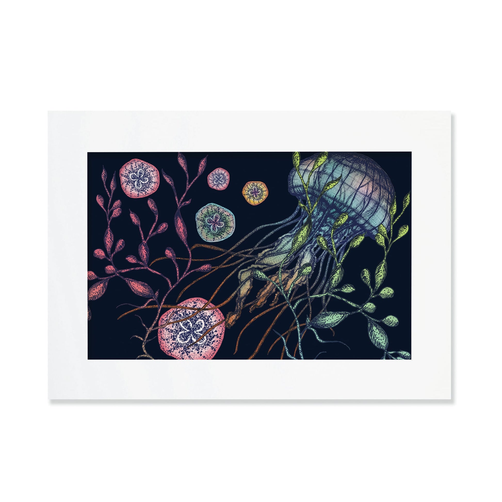 An A3 mounted illustration of a jellyfish with seaweed and marine elements on a dark navy background, set in a white mount. The artwork features intricate detailing in shades of blue, green, red, and yellow.