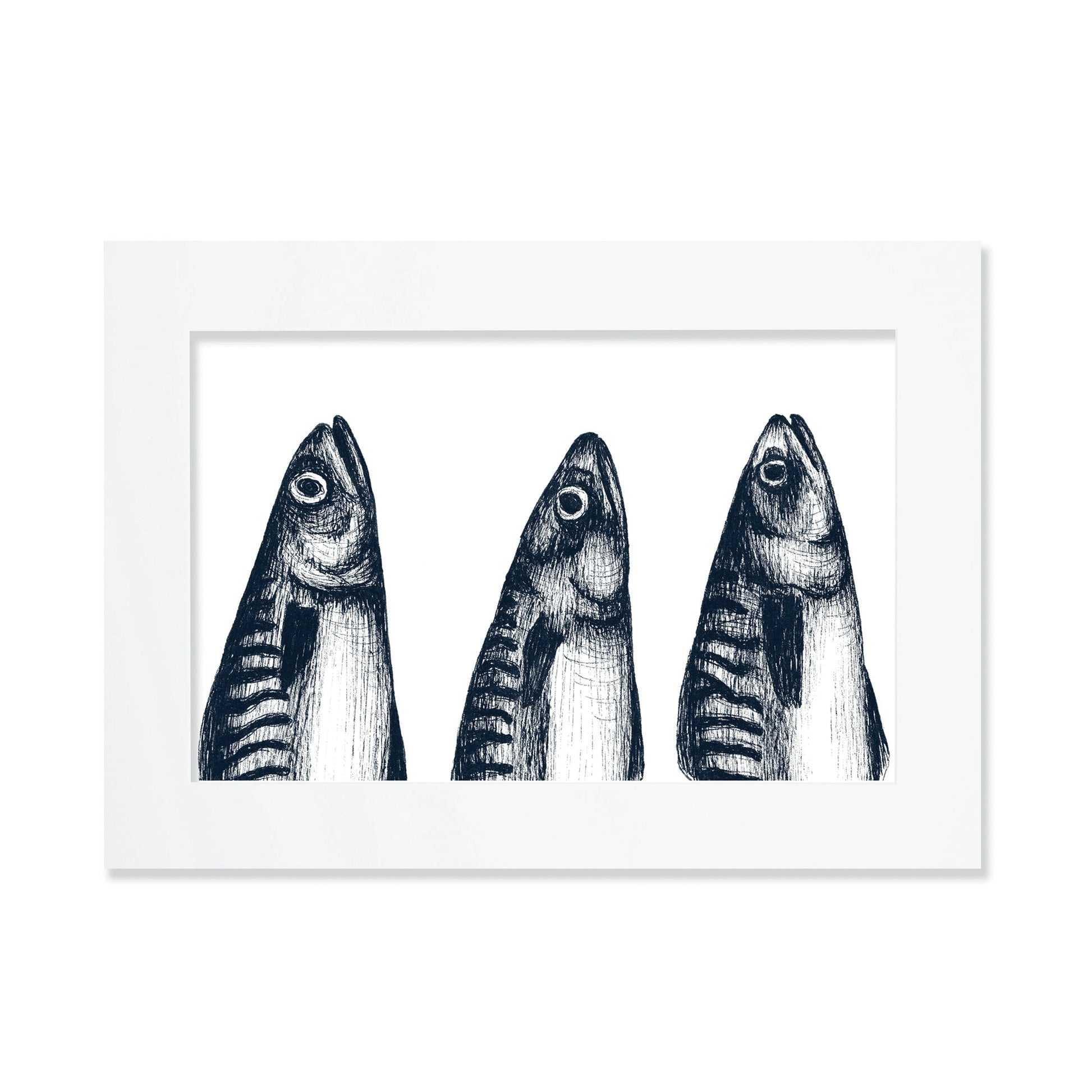 An A3 mounted blue-and-white illustration of 3 mackerel heads with delicate, drawn with fine lines and shading, set against a white background in a white mount and frame.