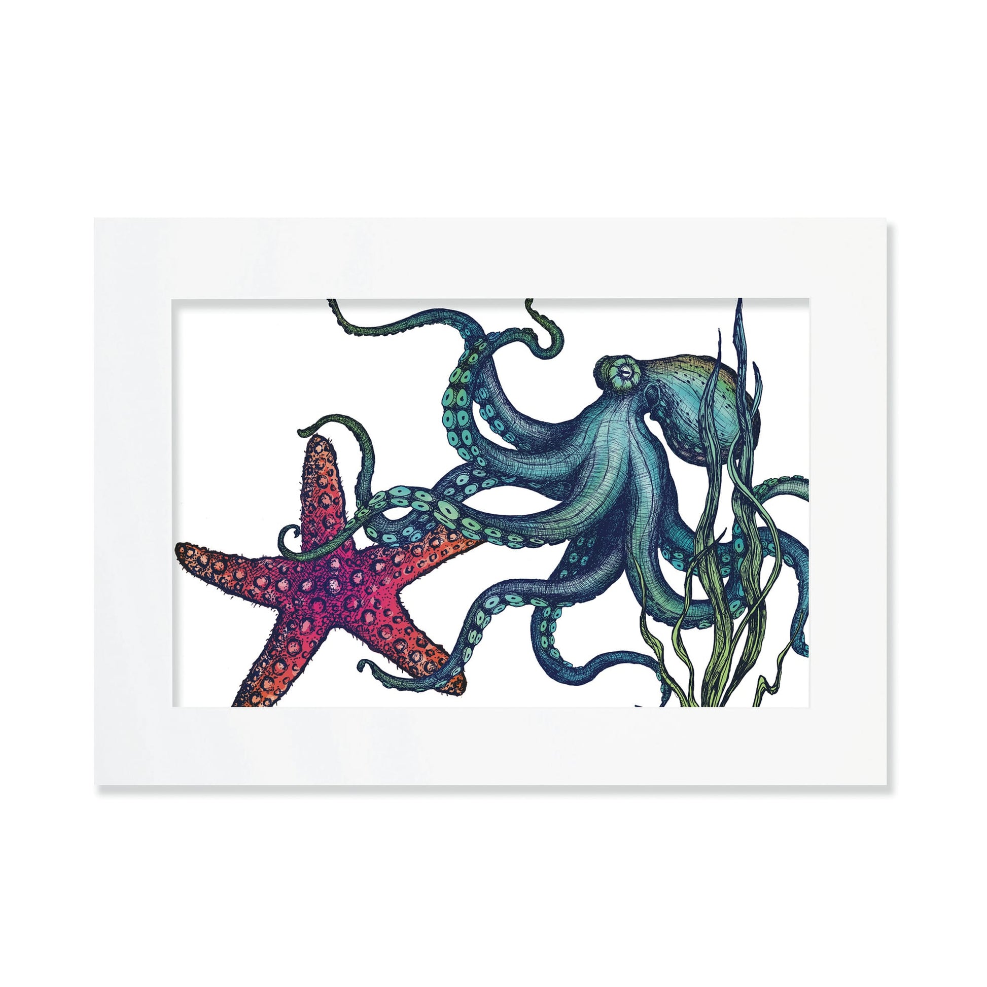 An A3 mounted illustration of a colorful octopus intertwined with a red starfish and seaweed, set in a white frame with a white mount. The detailed artwork showcases intricate marine life with rich textures and vibrant colors.