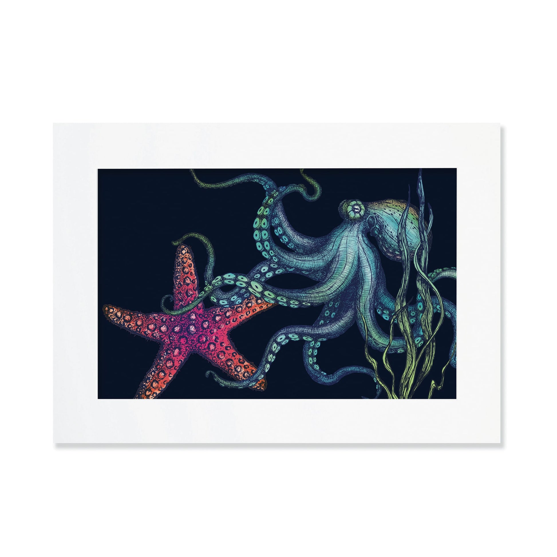 An A3 mounted illustration features a detailed octopus and a vibrant red starfish set against a dark navy background. The octopus has flowing tentacles with intricate blue and green shading, while seaweed sways around them. The print is enclosed in a simple white mat and frame.