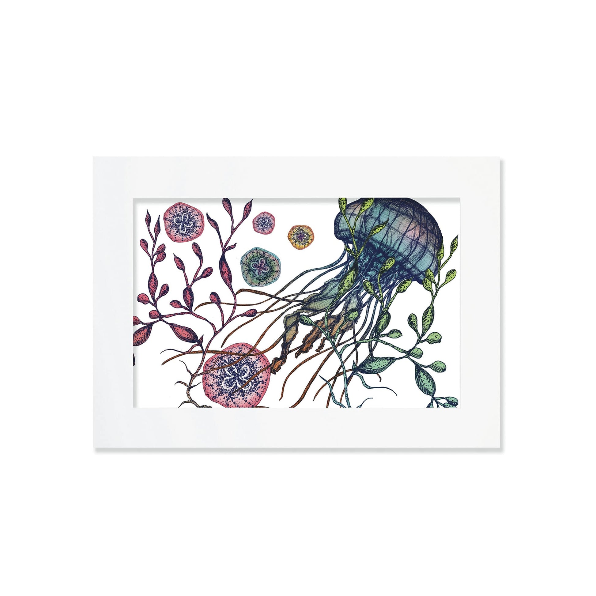 An A4 mounted illustration of a jellyfish surrounded by seaweed and colorful marine elements, set in a white mount. The artwork features intricate detailing in shades of blue, green, red, and yellow.