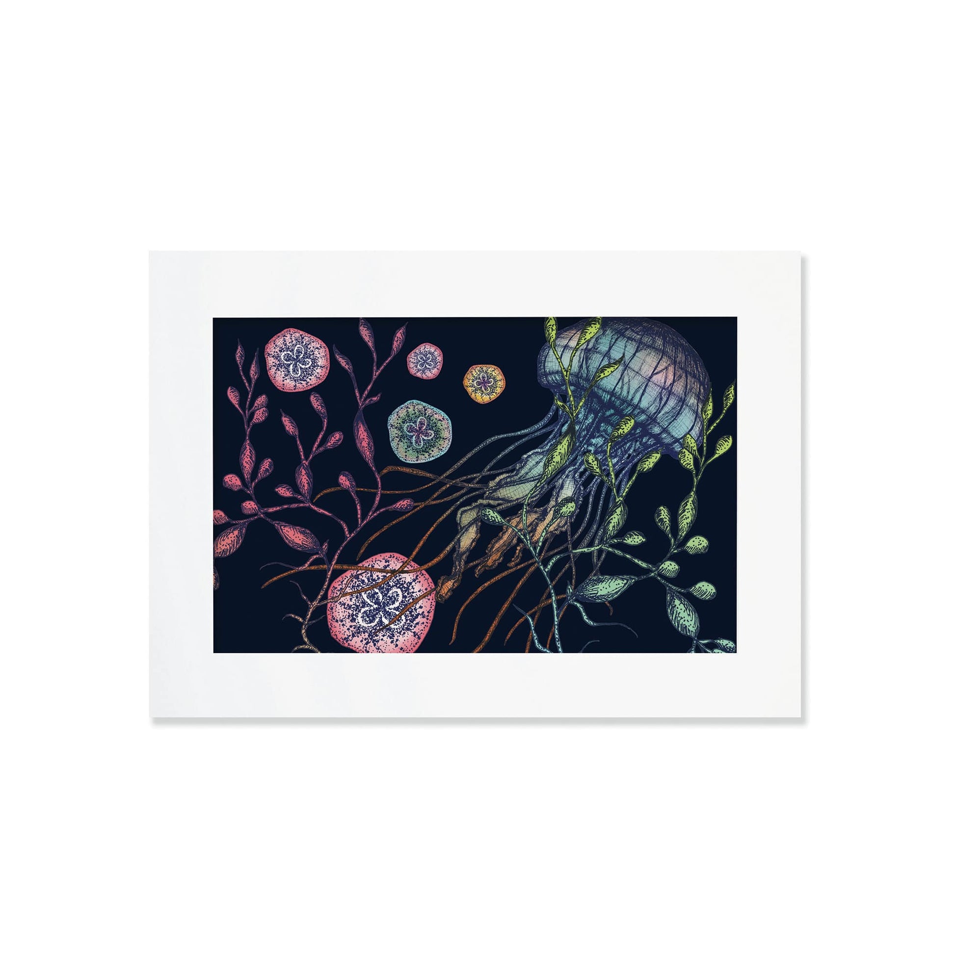 An A4 mounted illustration of a jellyfish with seaweed and marine elements on a dark navy background, set in a white mount. The artwork features intricate detailing in shades of blue, green, red, and yellow.