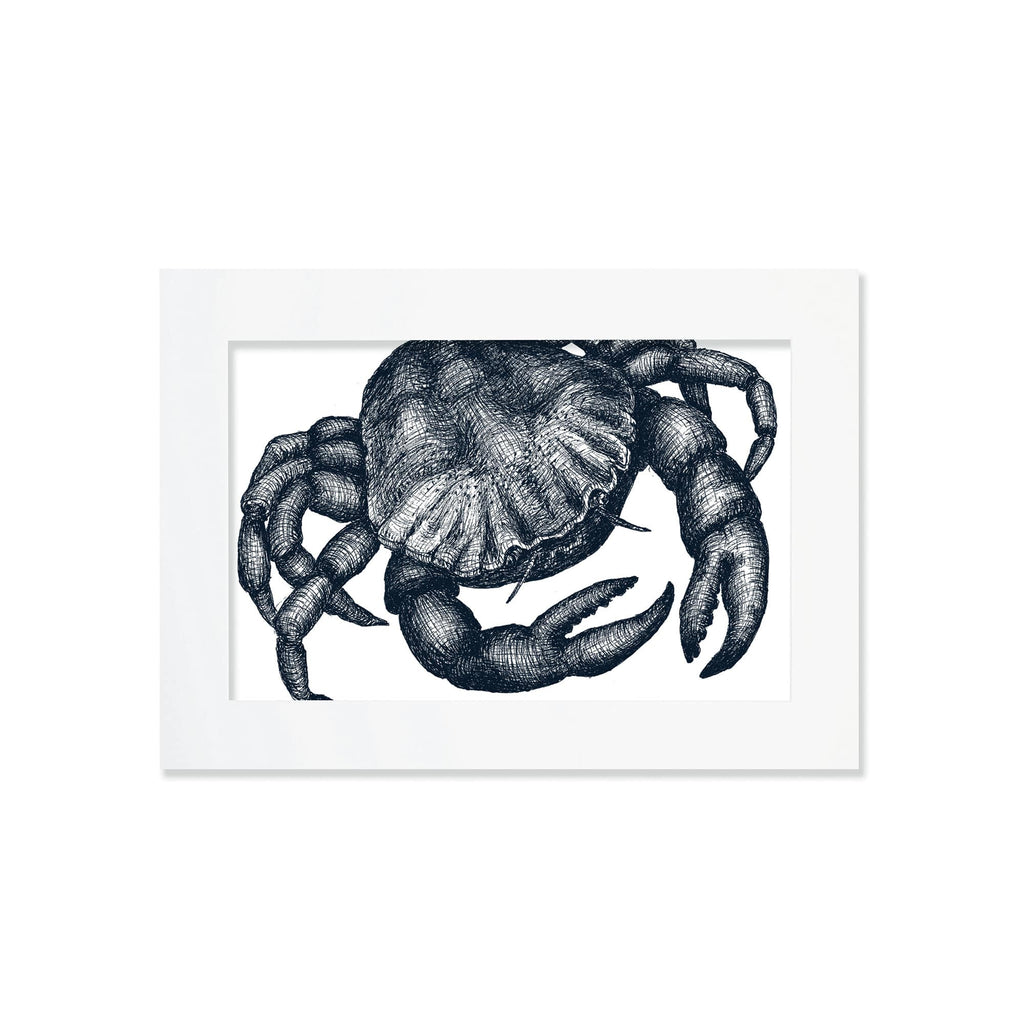 An A4 mounted blue-and-white illustration of a crab, intricately detailed with fine lines and shading, set against a white background in a white mount.