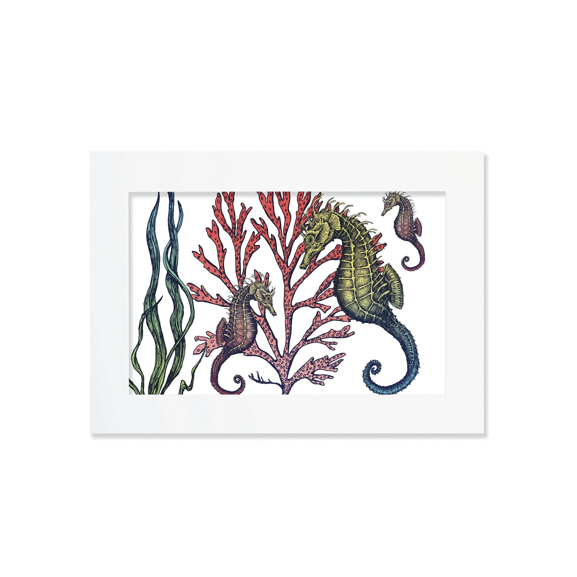 An A4 mounted illustration of three intricately detailed seahorses swimming among red coral and green seaweed, set against a white background in a white frame.