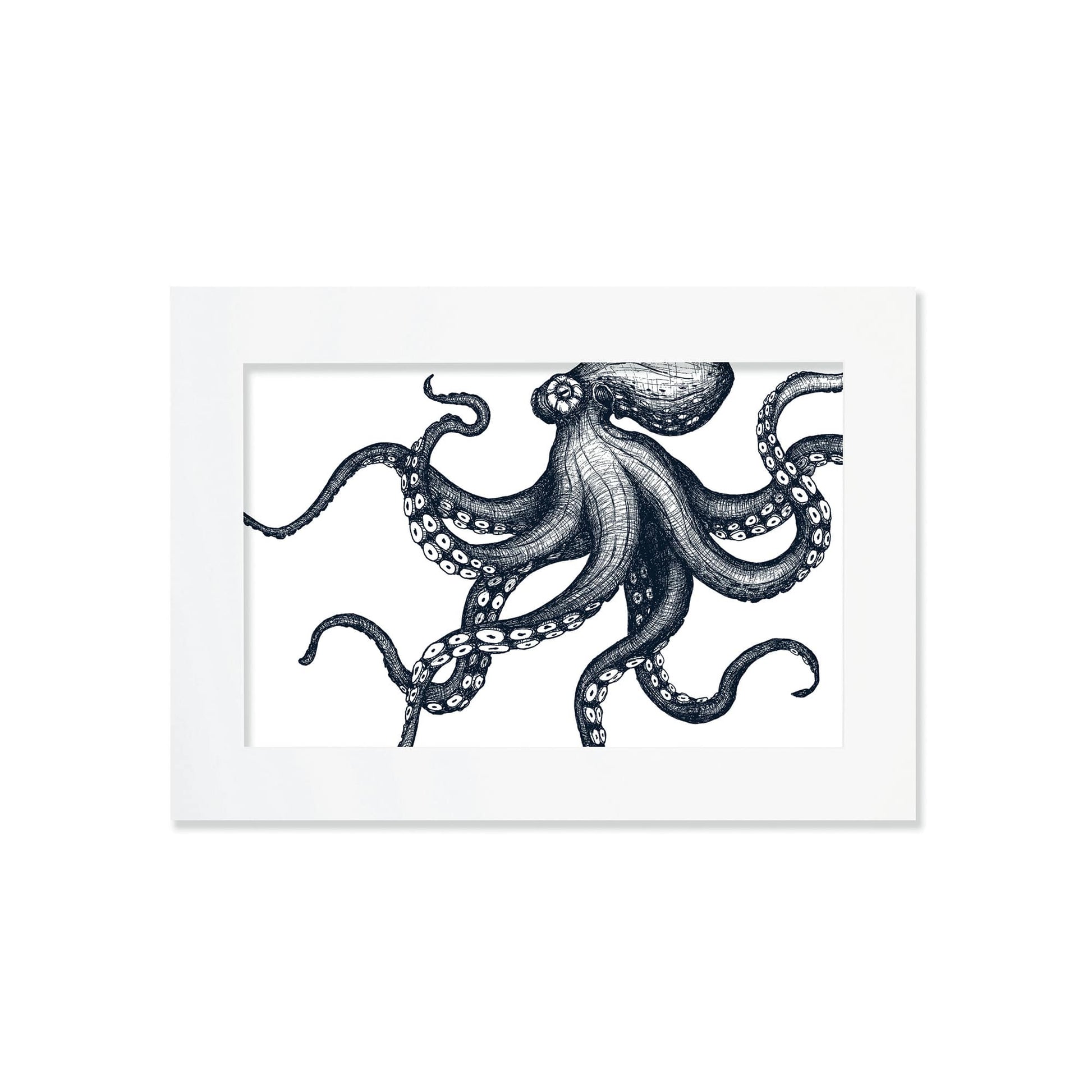 An A4 mounted blue-and-white illustration of an octopus, intricately detailed with fine lines and shading, set against a white background in a white mount.