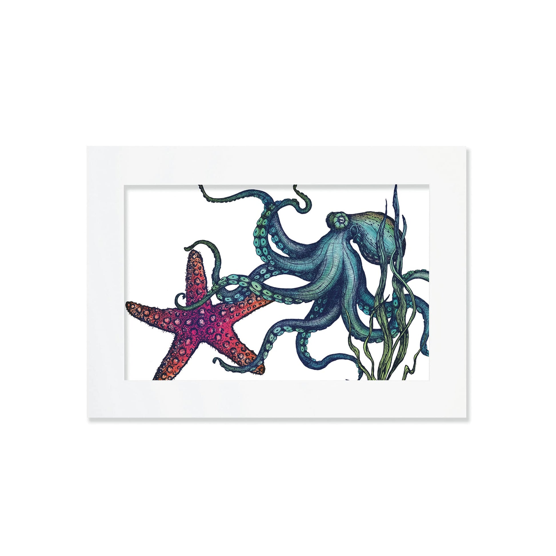 An A4 mounted illustration of a colorful octopus intertwined with a red starfish and seaweed, set in a white frame with a white mount. The detailed artwork showcases intricate marine life with rich textures and vibrant colors.
