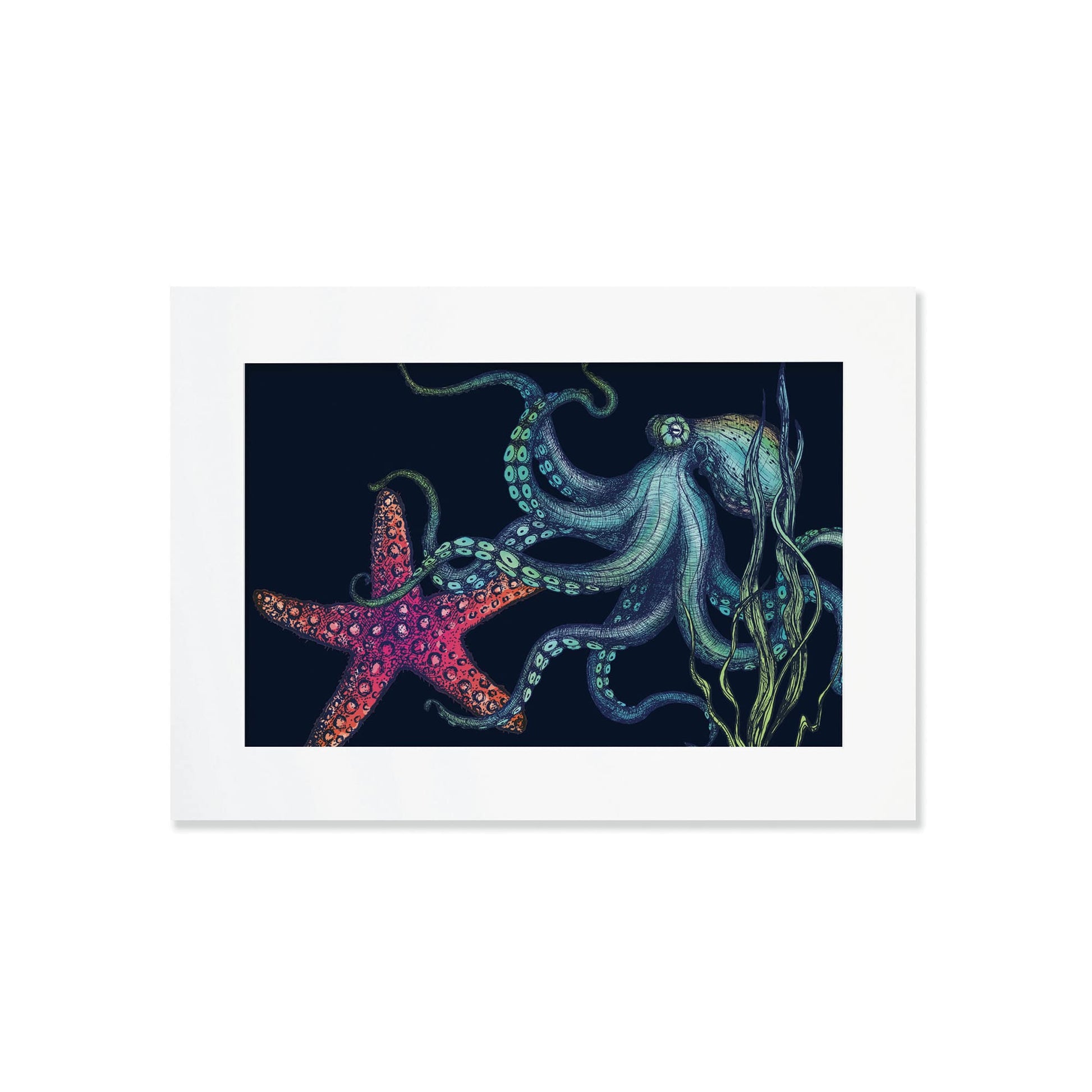 An A4 mounted illustration features a detailed octopus and a vibrant red starfish set against a dark navy background. The octopus has flowing tentacles with intricate blue and green shading, while seaweed sways around them. The print is enclosed in a simple white mat and frame.
