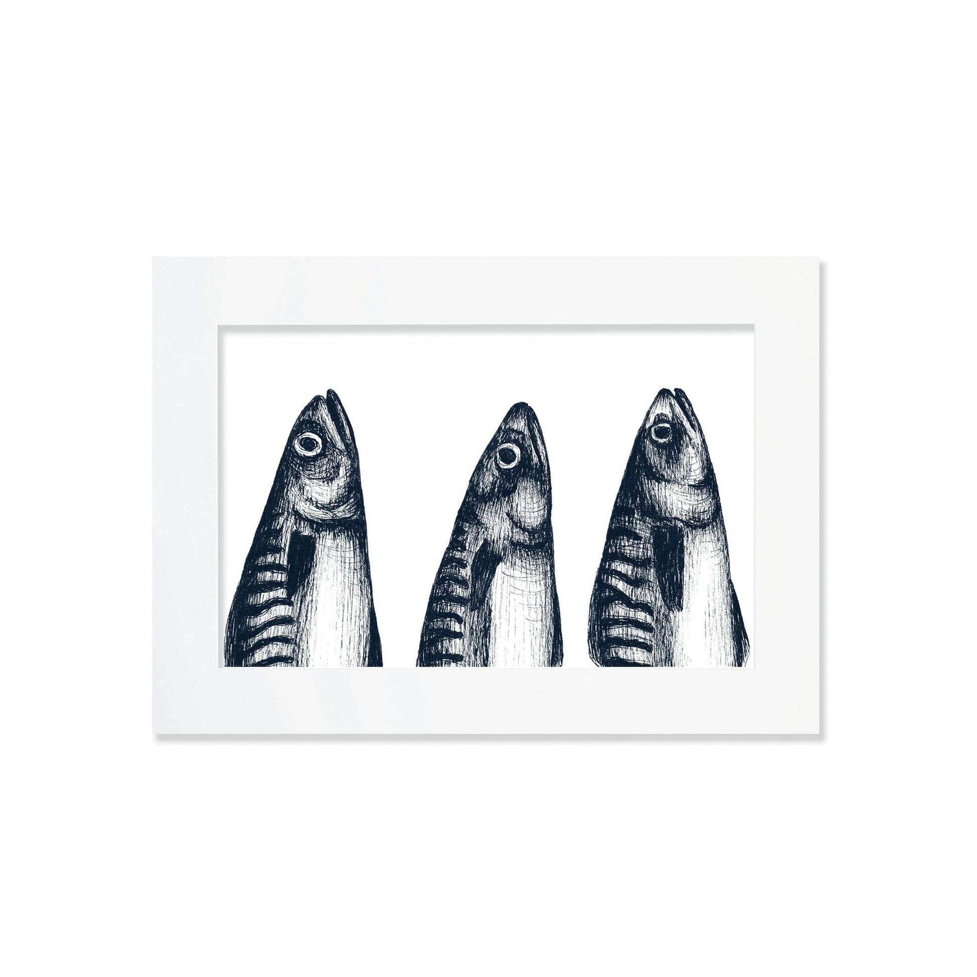 An A4 mounted blue-and-white illustration of 3 mackerel heads with delicate, drawn with fine lines and shading, set against a white background in a white mount and frame.
