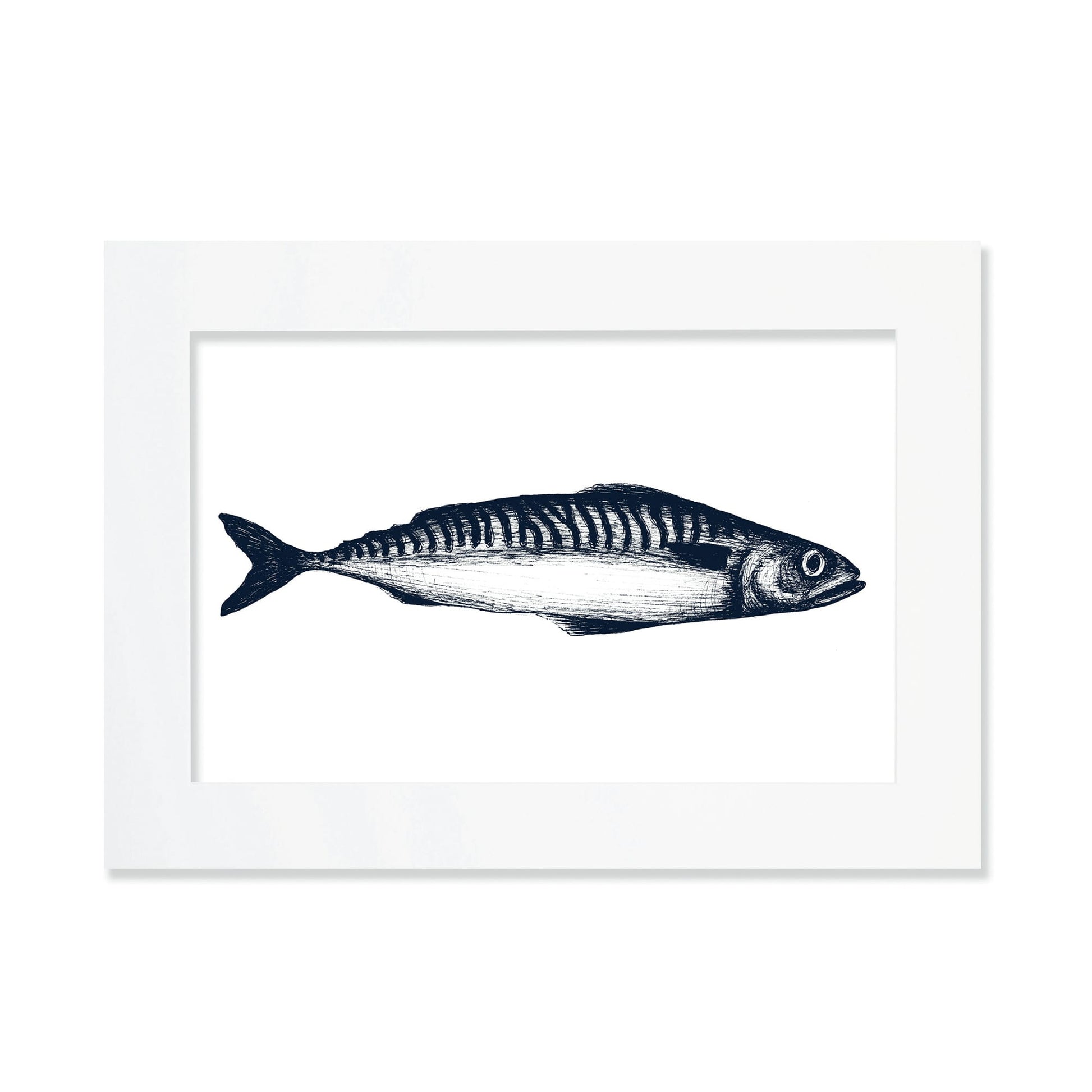 An A4 mounted blue-and-white illustration of an octopus, intricately detailed with fine lines and shading, set against a white background in a white mount and frame.